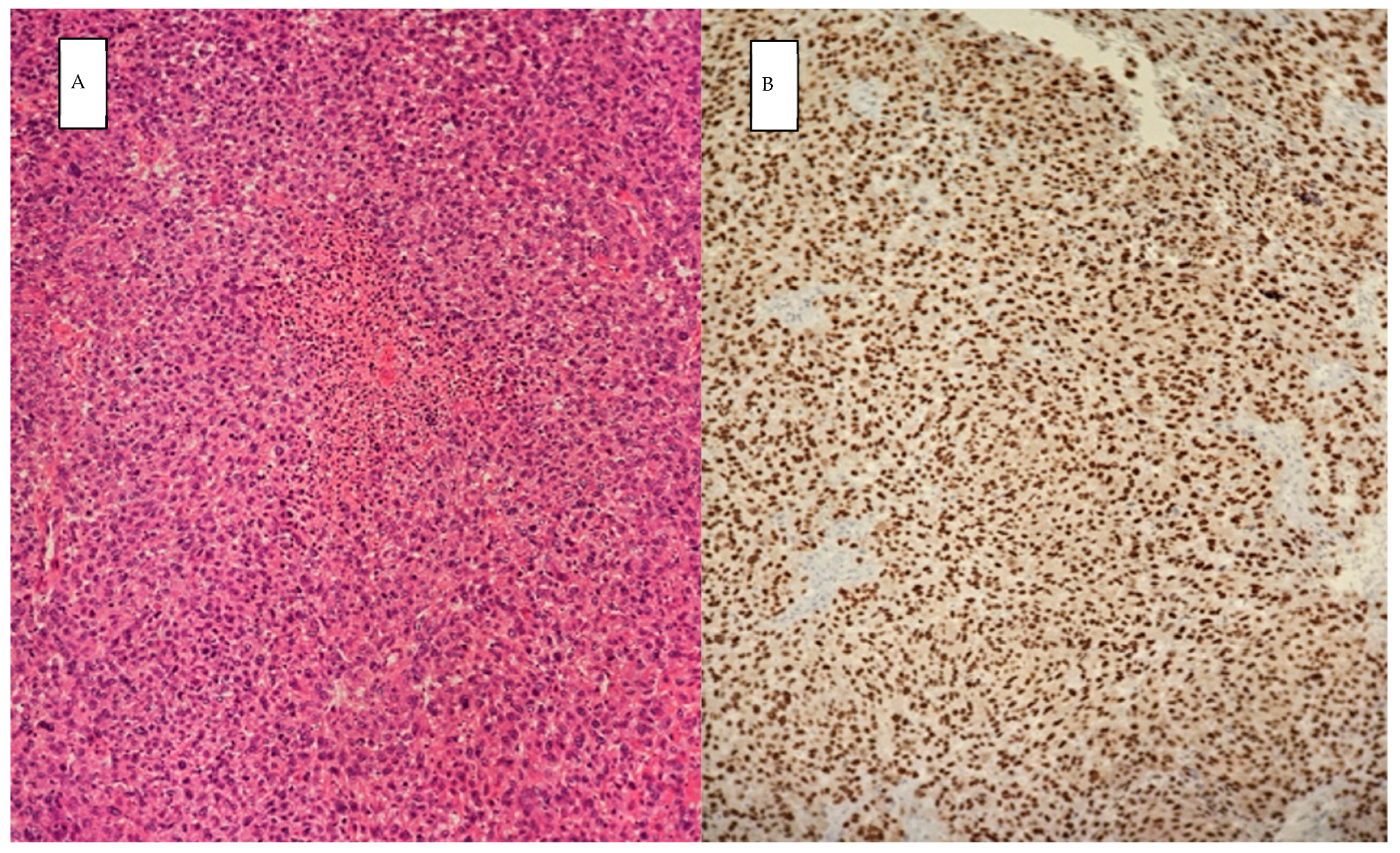 Diagnostics 14 02210 g004