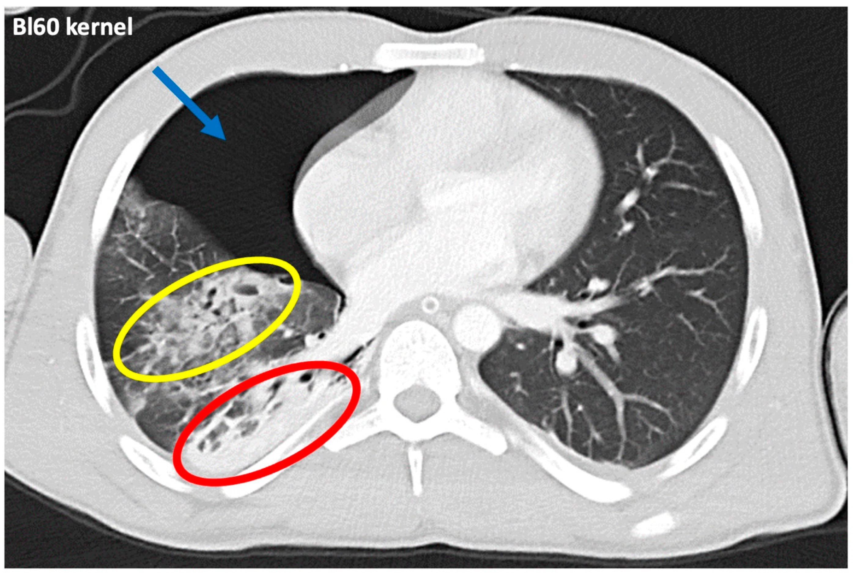 Diagnostics 14 02231 g002