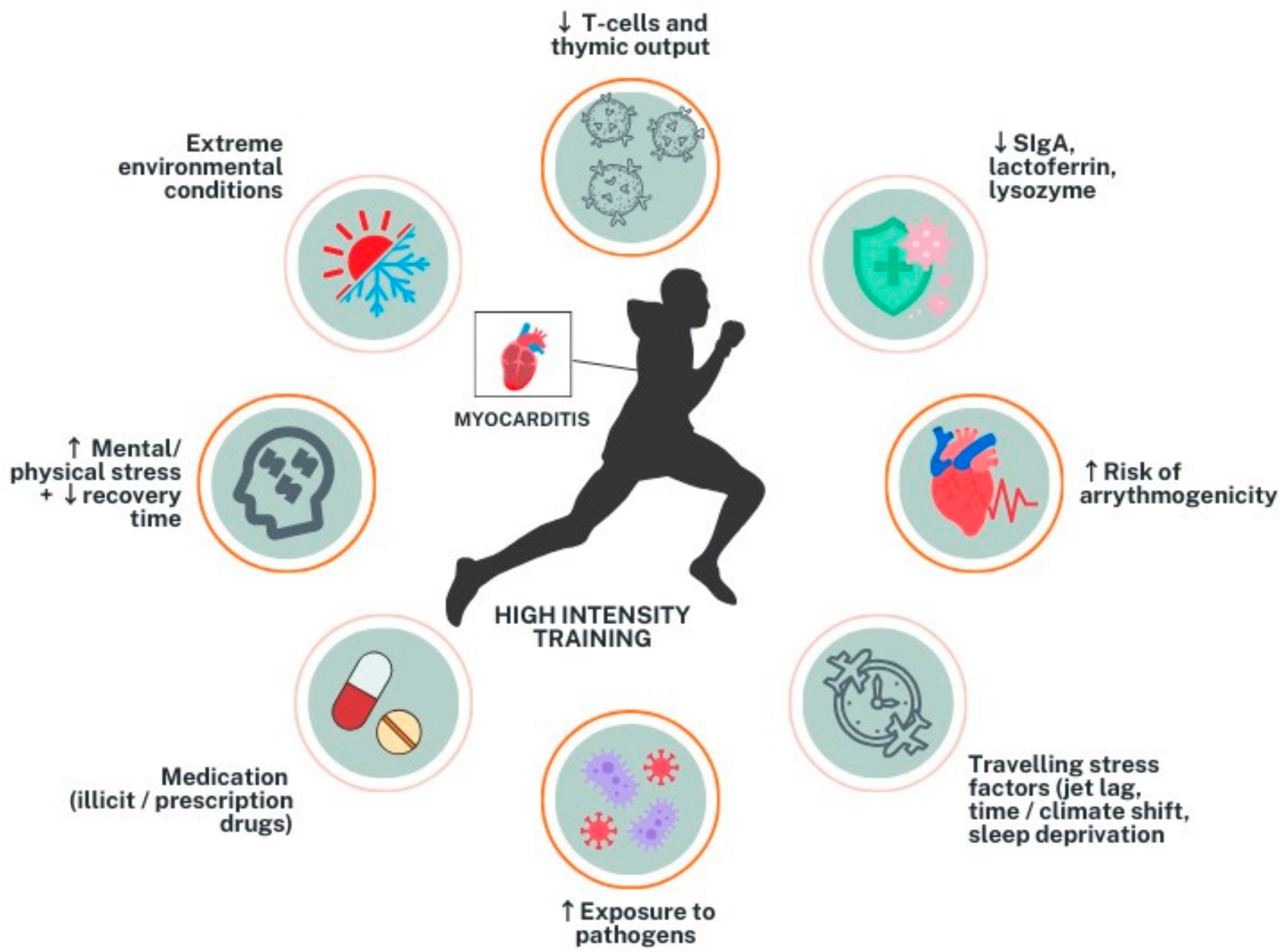 Diagnostics 14 02236 g001