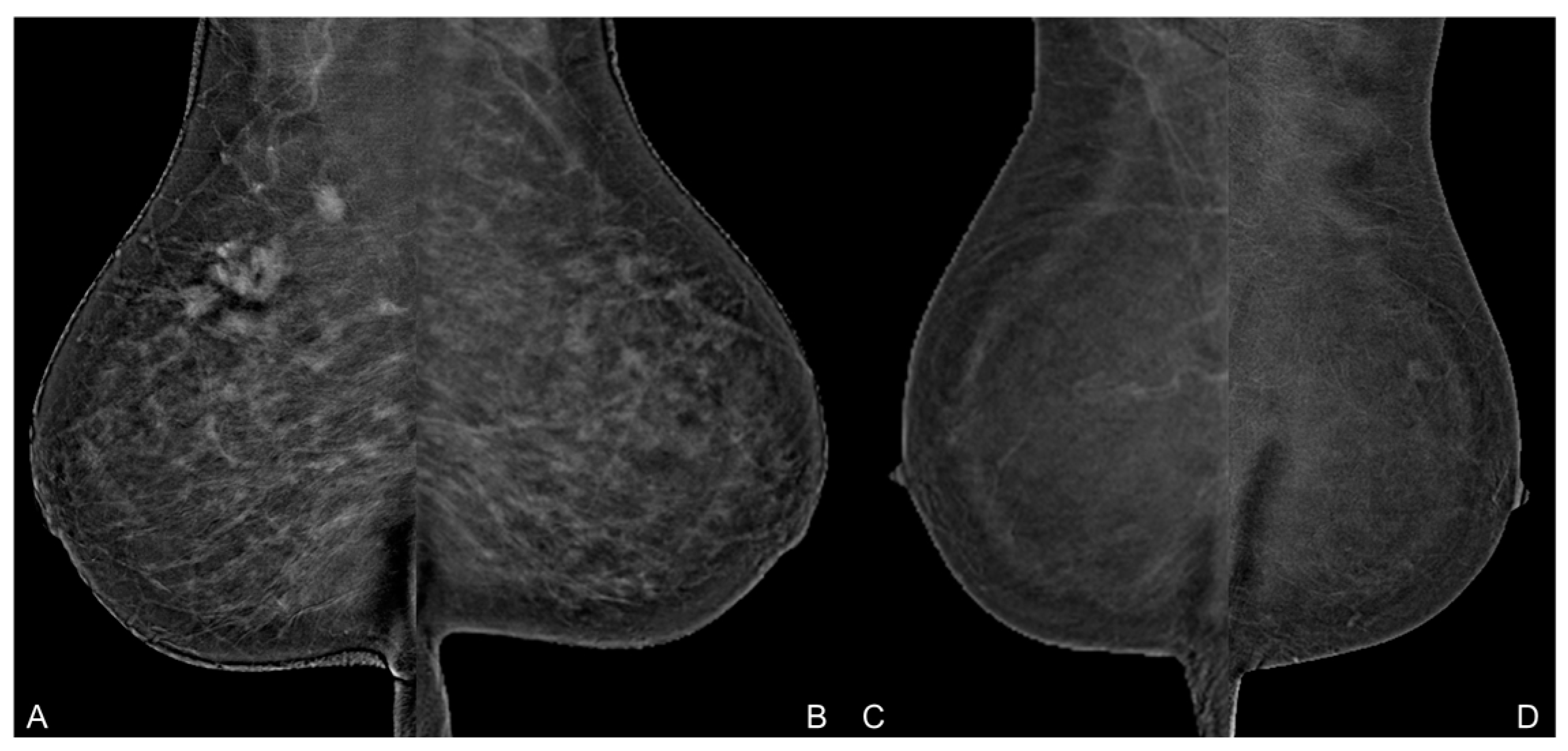 Diagnostics 14 02239 g004