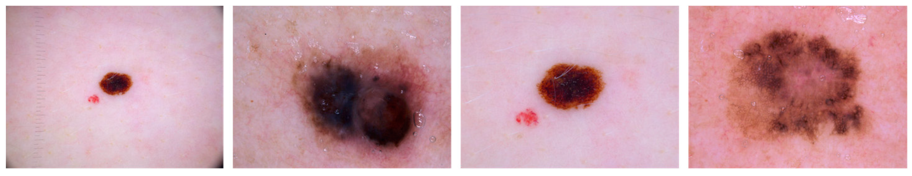 Diagnostics 14 02242 g011