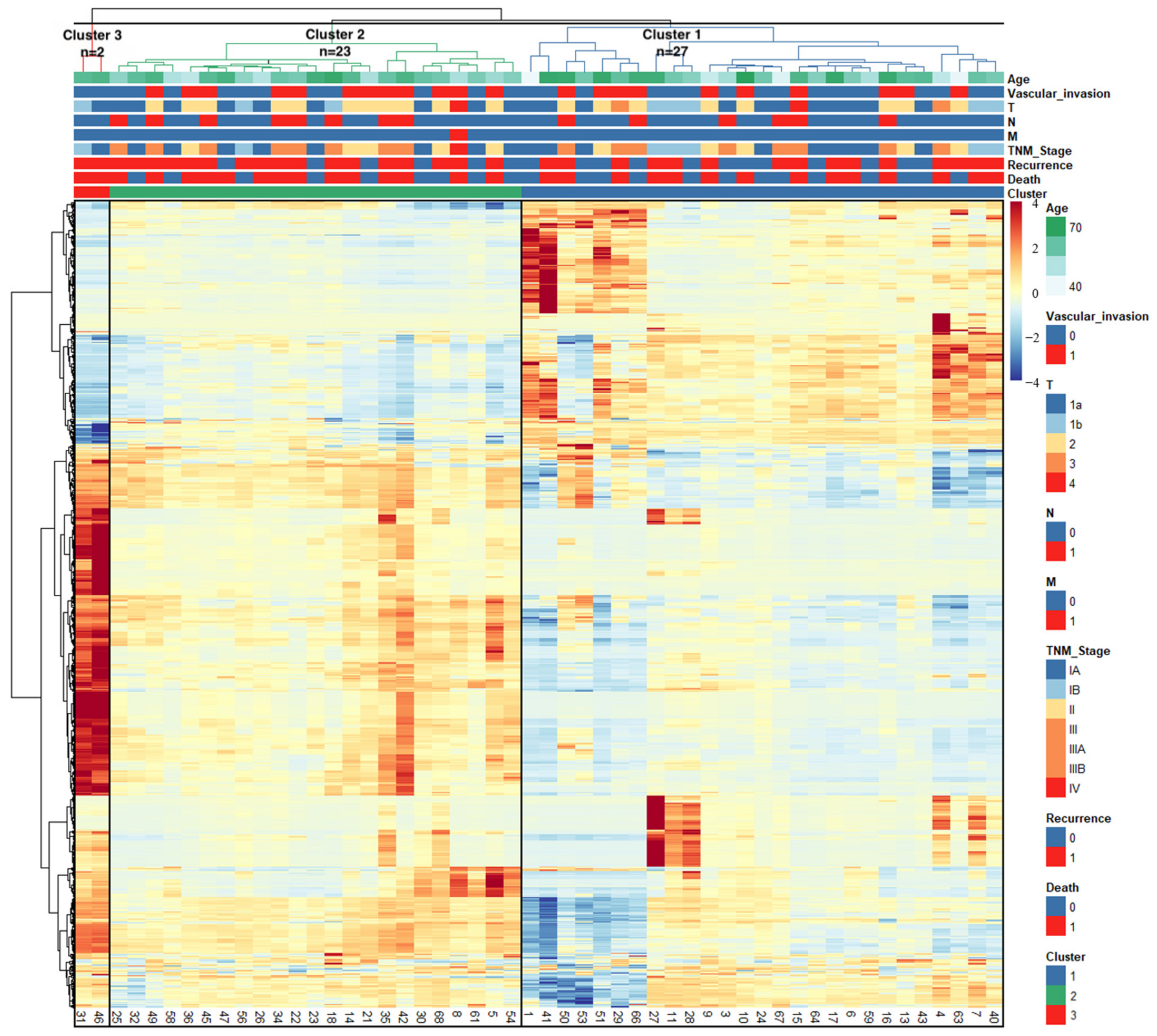 Diagnostics 14 02245 g003 Diagnostics 14 02245 g003