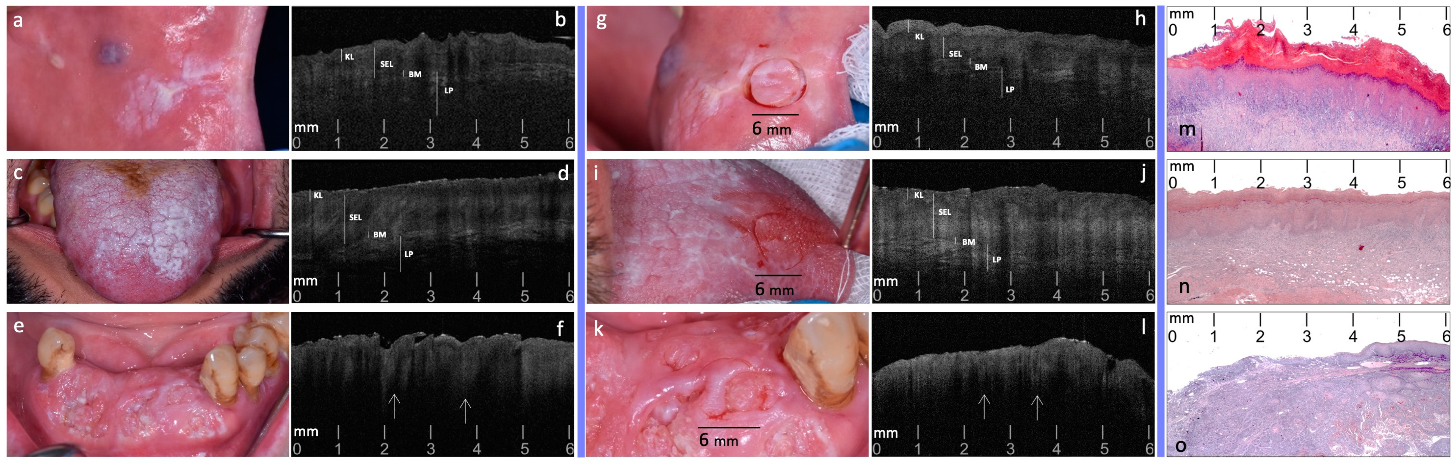 Diagnostics 14 02247 g002