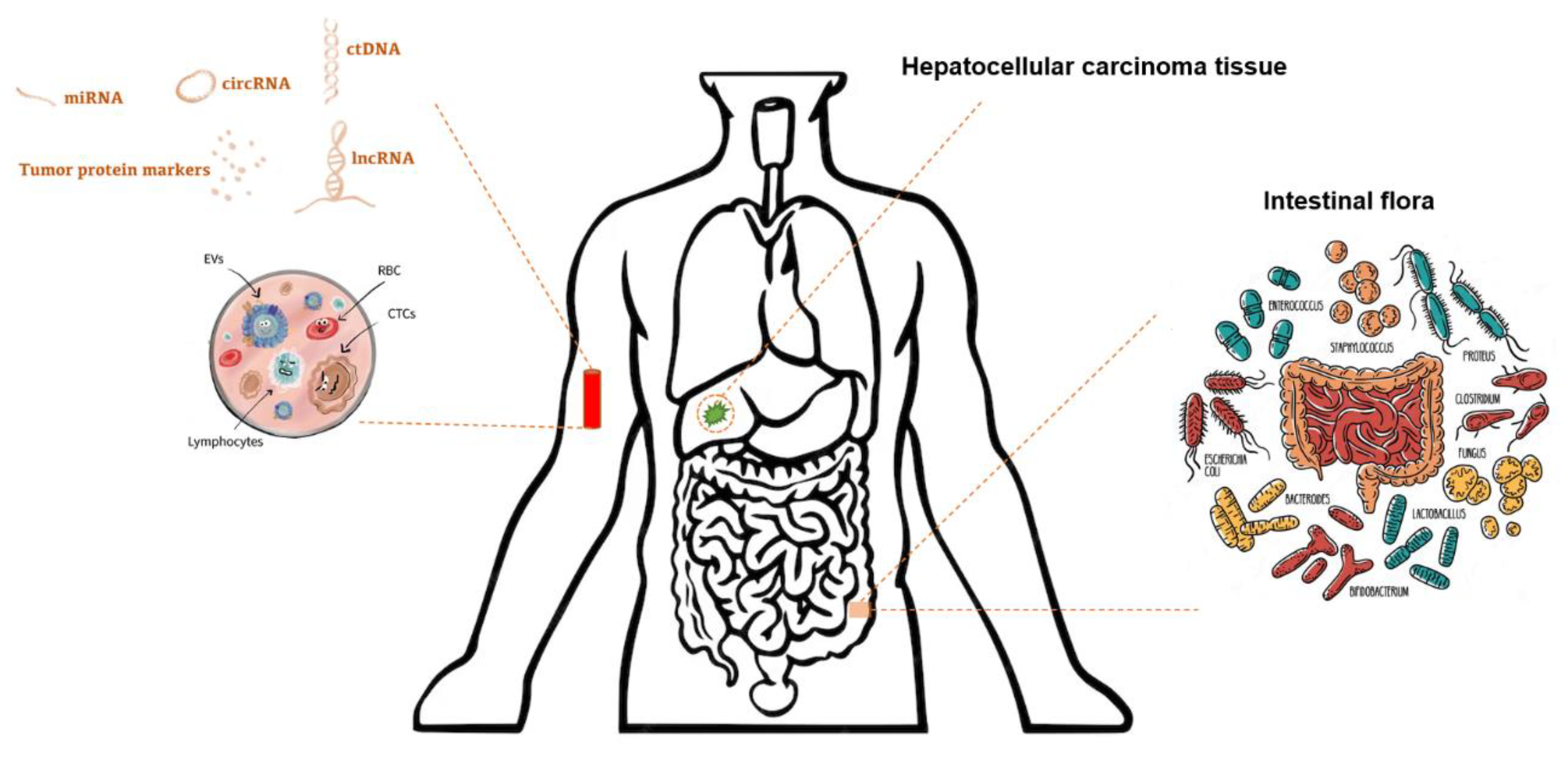 Diagnostics 14 02278 g001