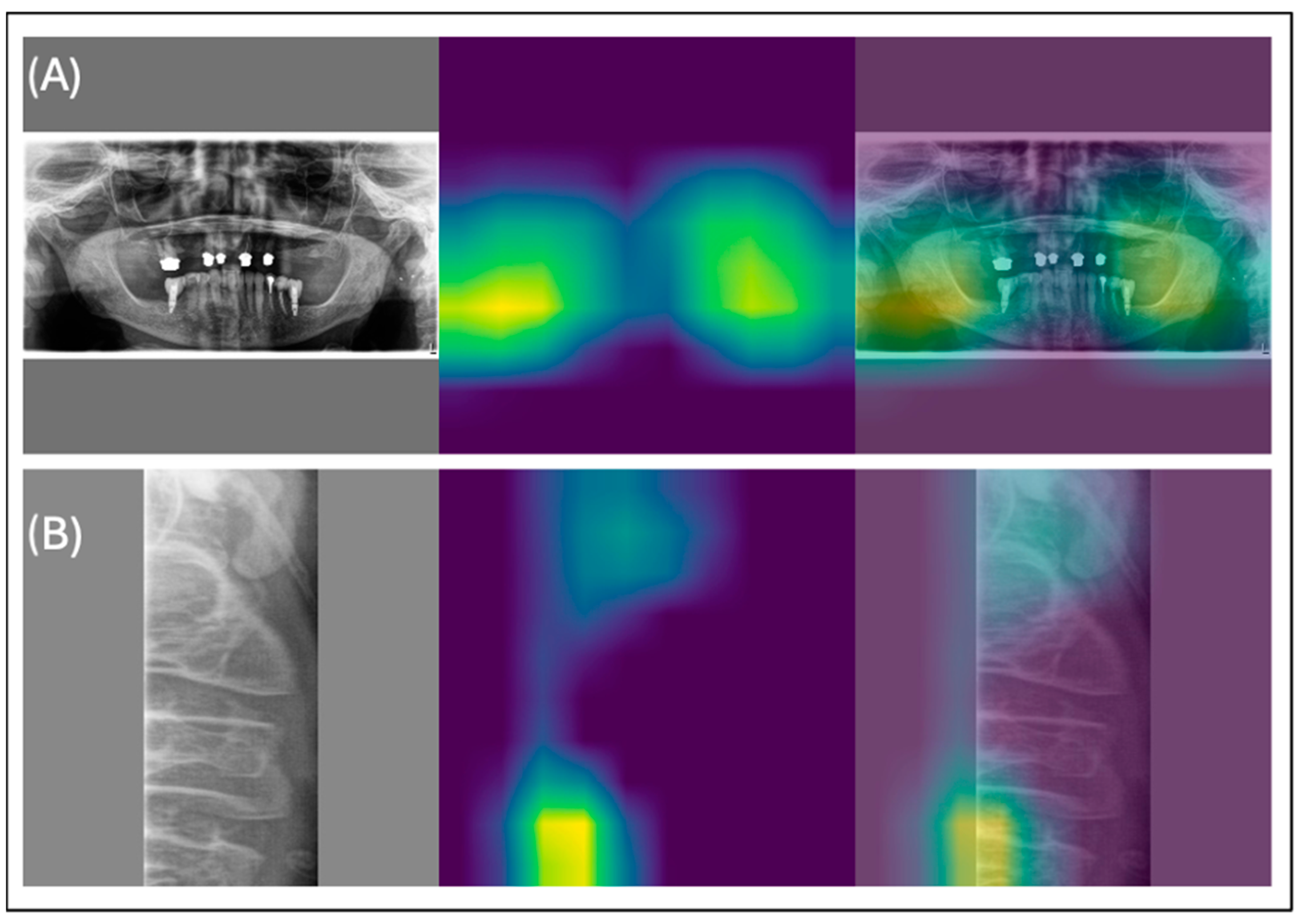 Diagnostics 14 02298 g002