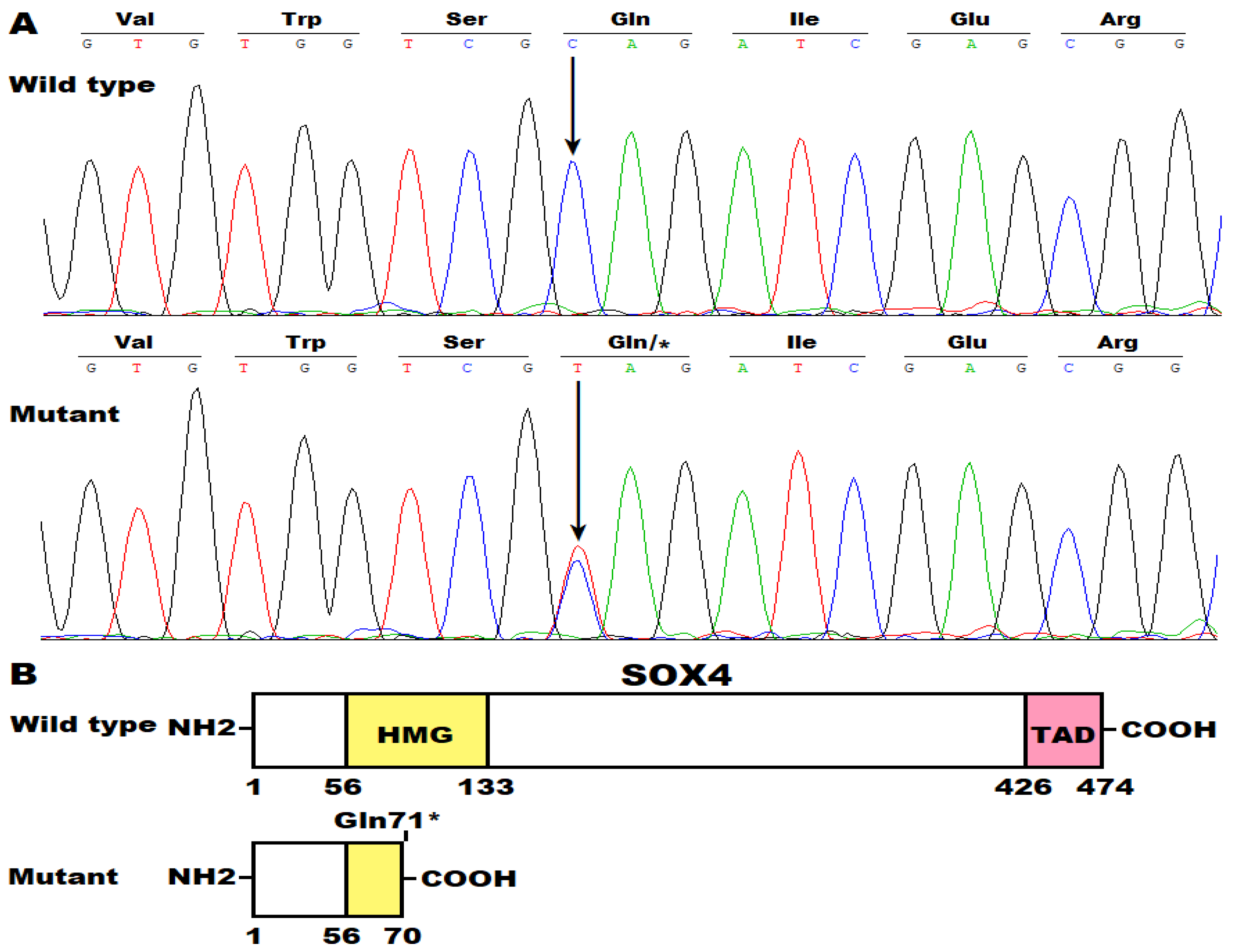 Diagnostics 14 02376 g003 Diagnostics 14 02376 g003