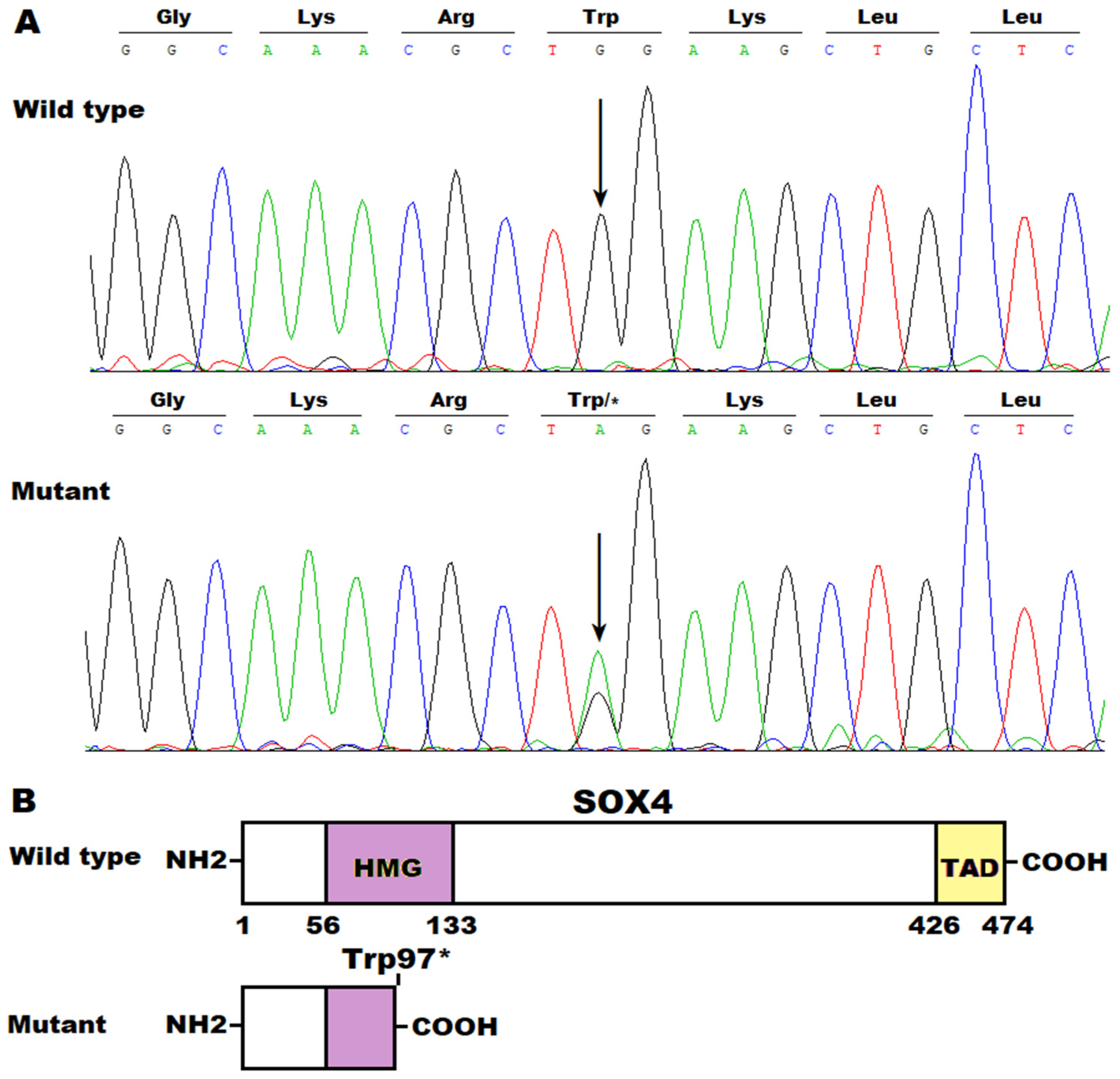 Diagnostics 14 02376 g004 Diagnostics 14 02376 g004