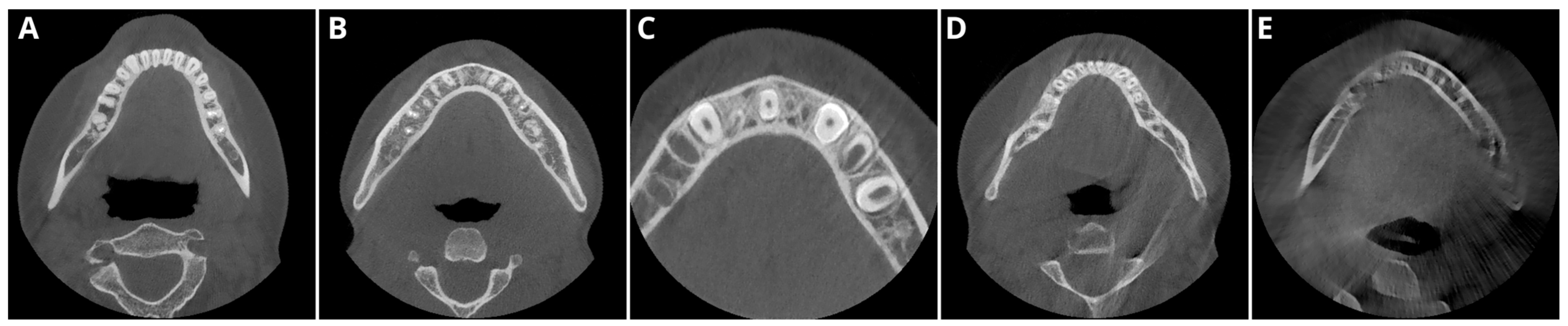 Diagnostics 14 02410 g001