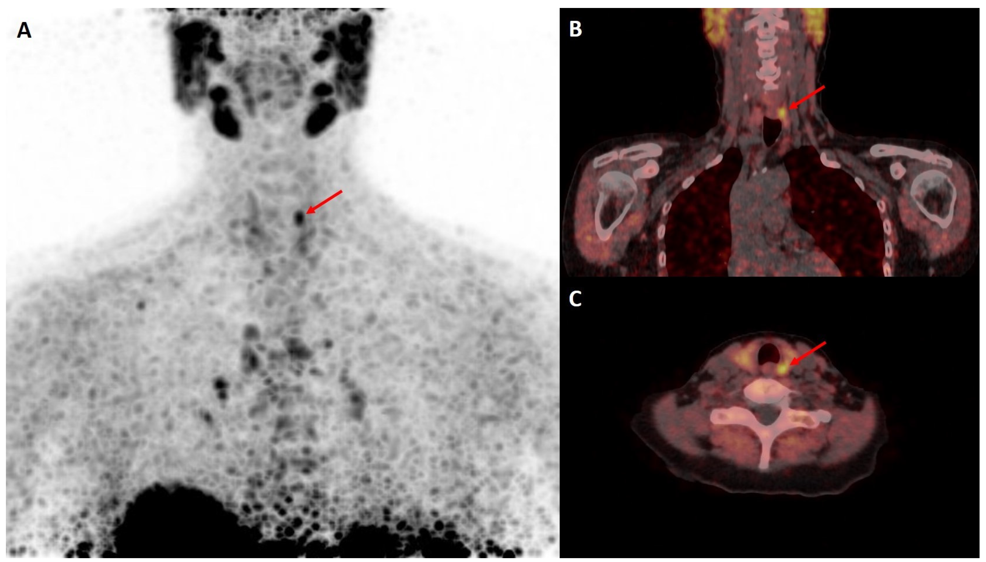 Diagnostics 14 02466 g001