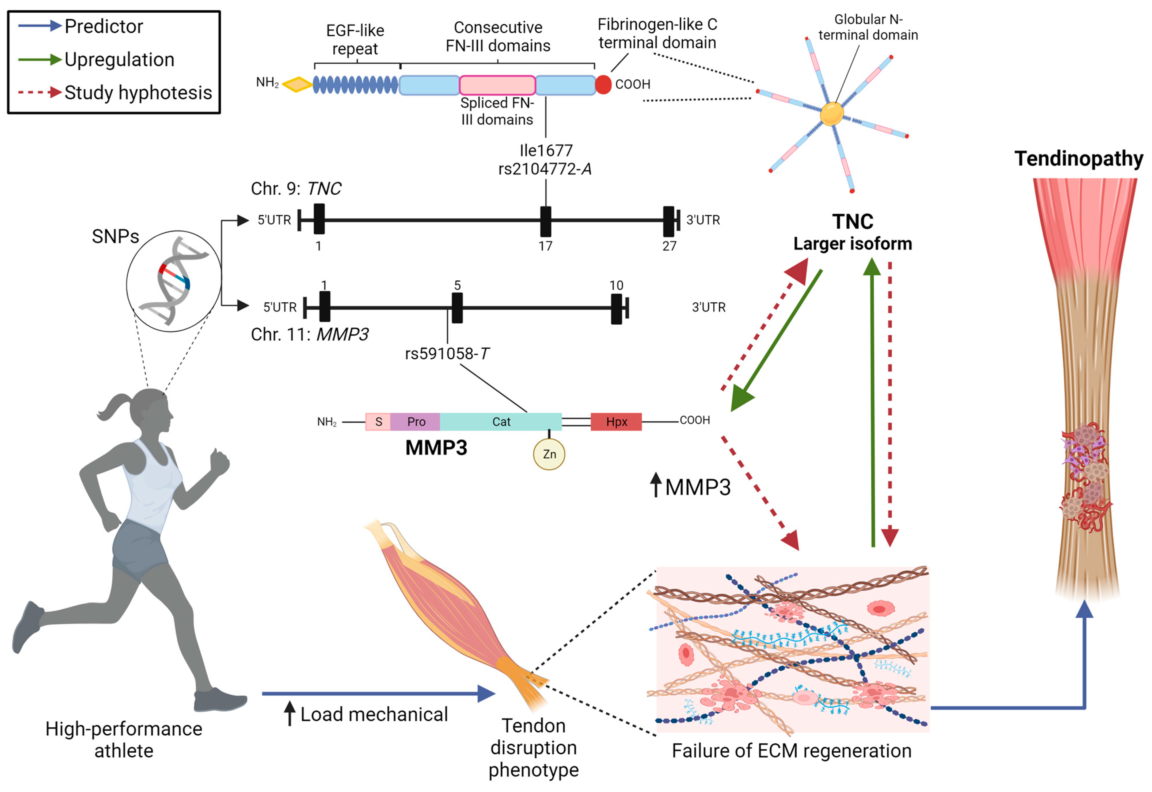Diagnostics 14 02469 g004
