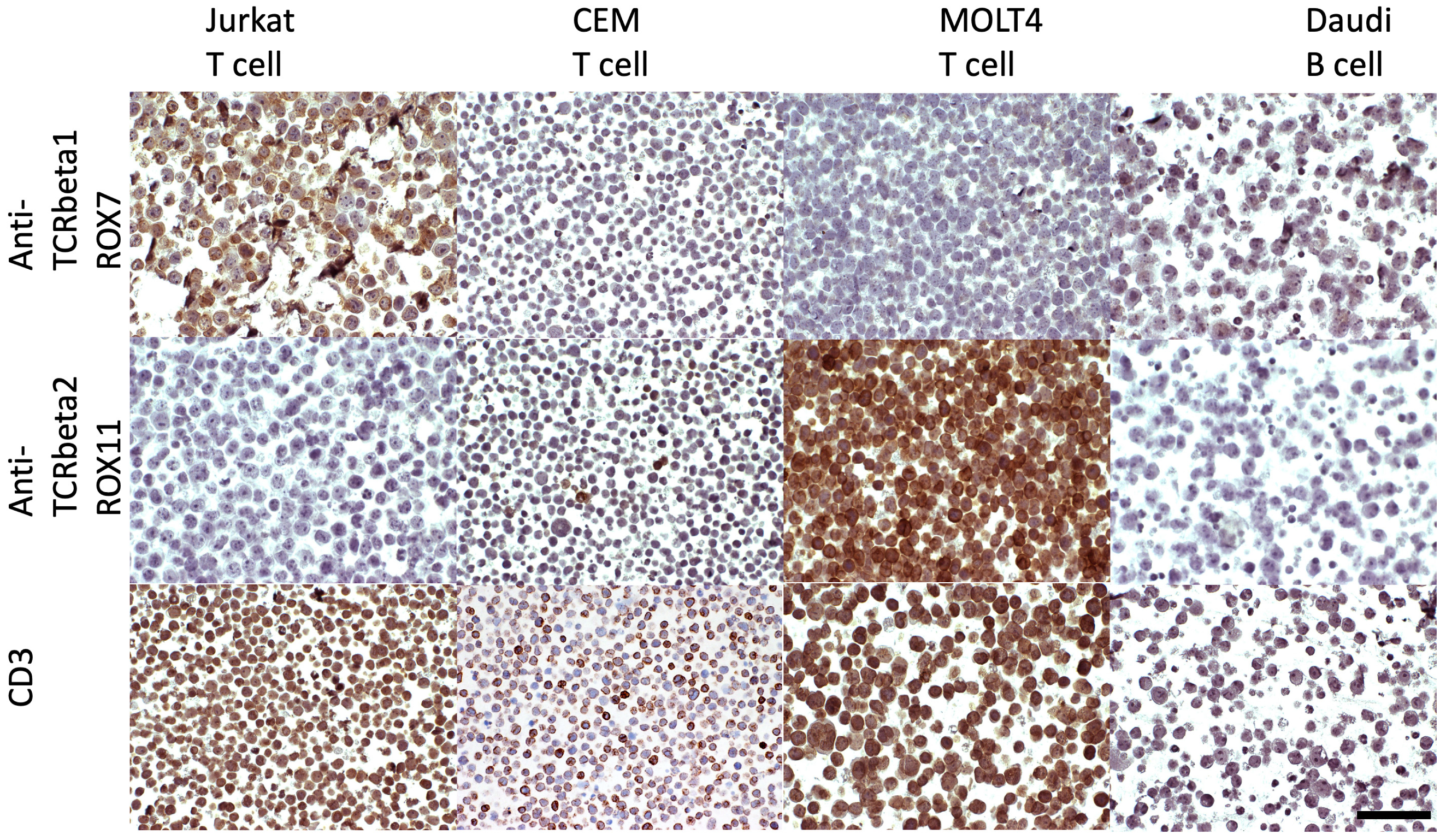 Diagnostics 14 02479 g003