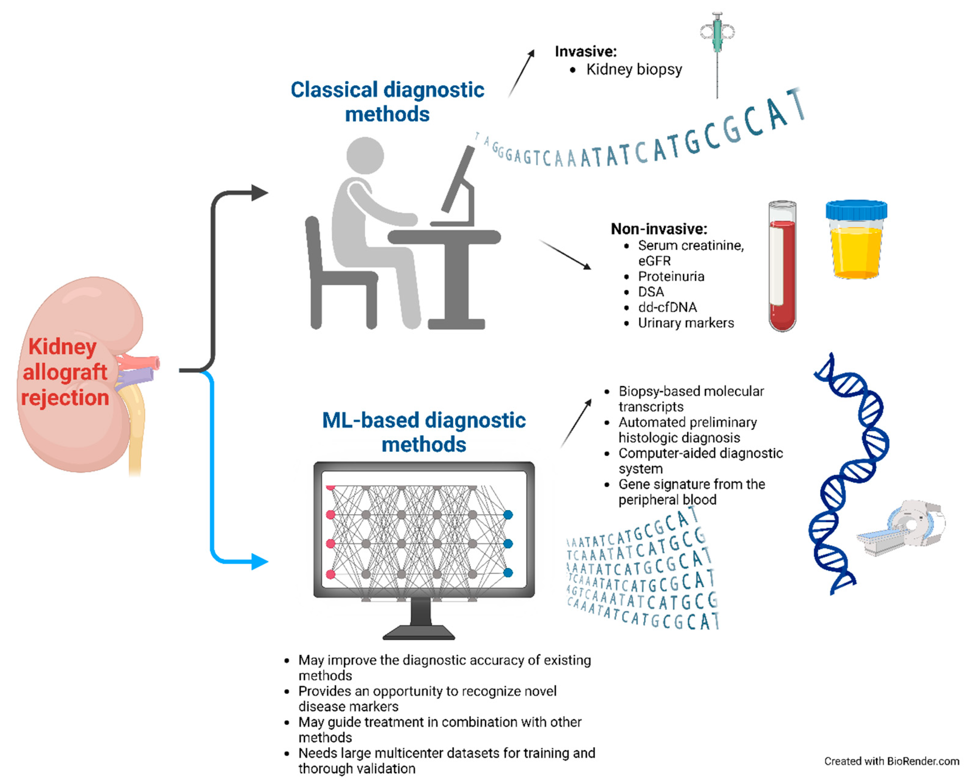 Diagnostics 14 02482 g001 Diagnostics 14 02482 g001