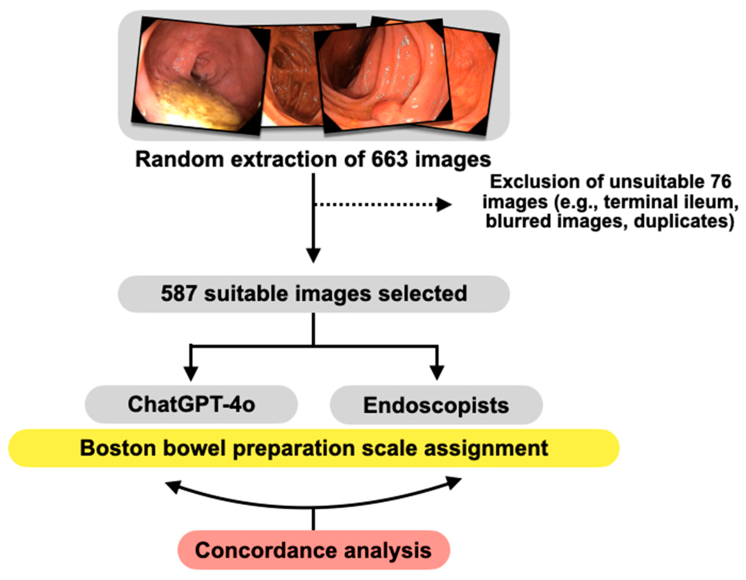 Diagnostics 14 02537 g001