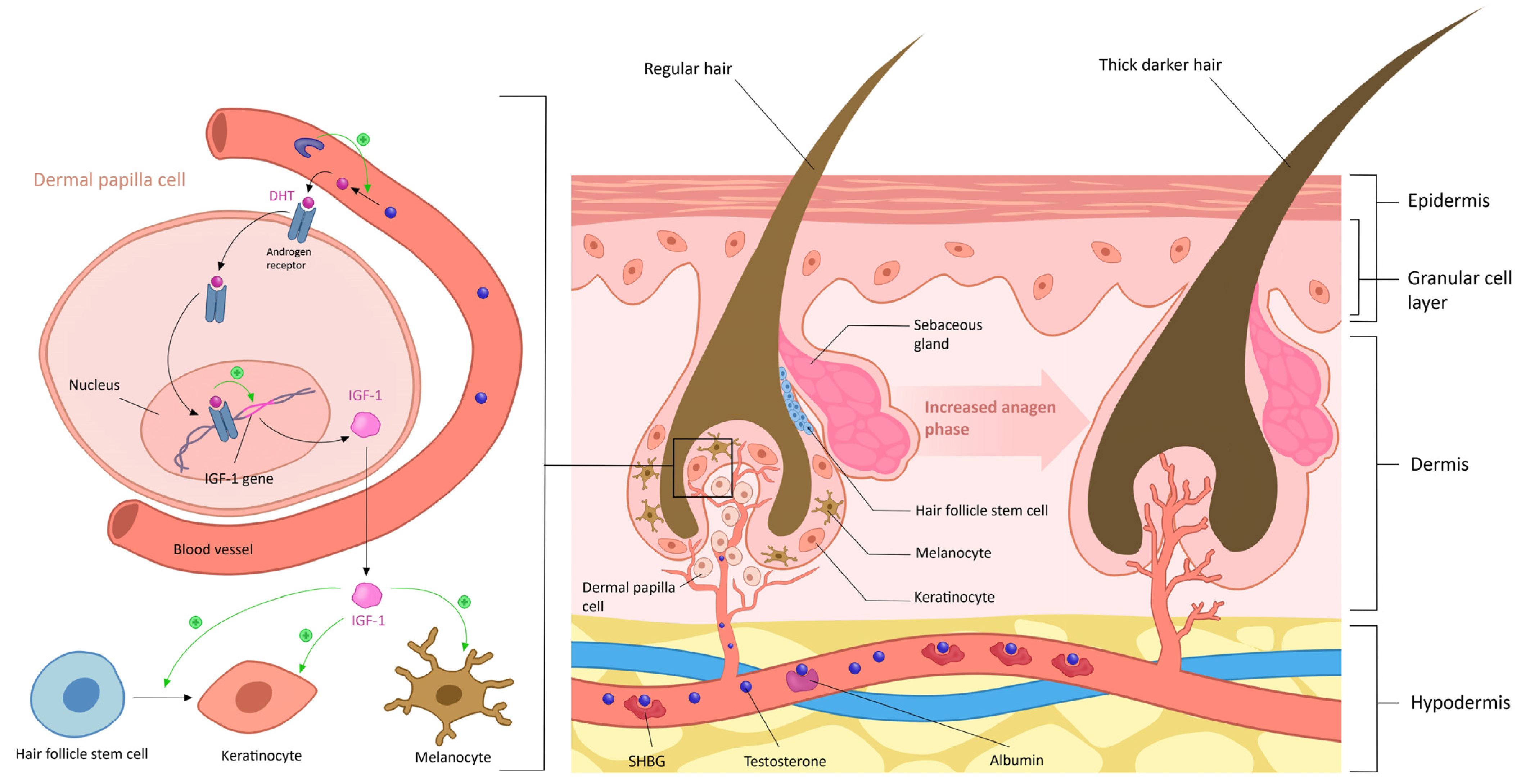 Diagnostics 14 02578 g003