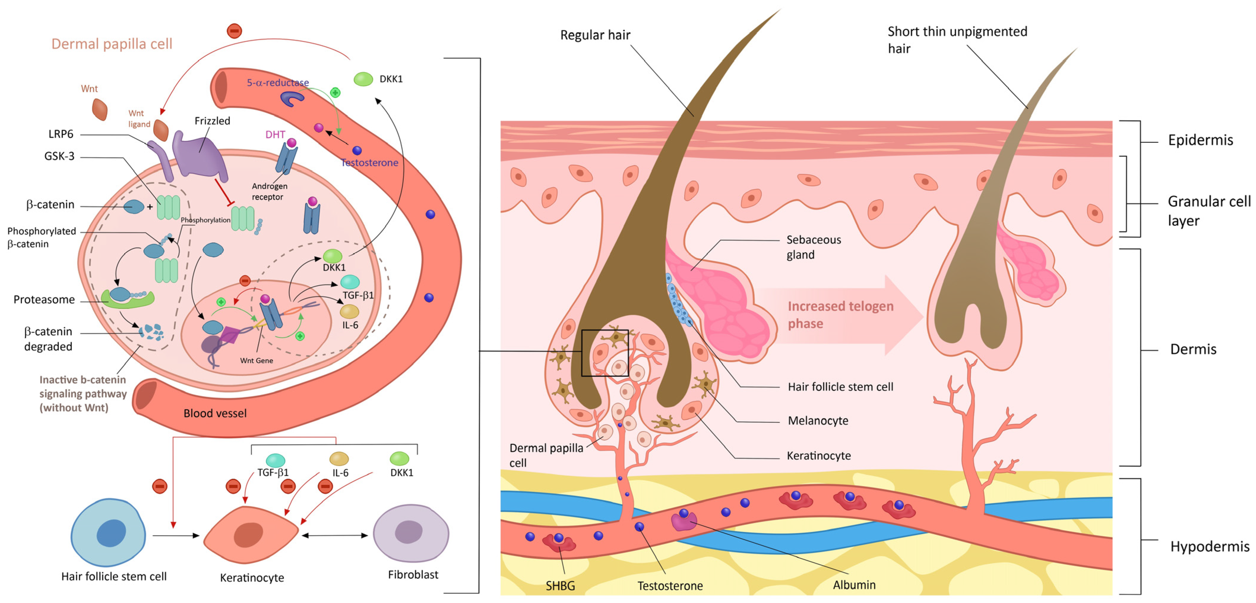 Diagnostics 14 02578 g004