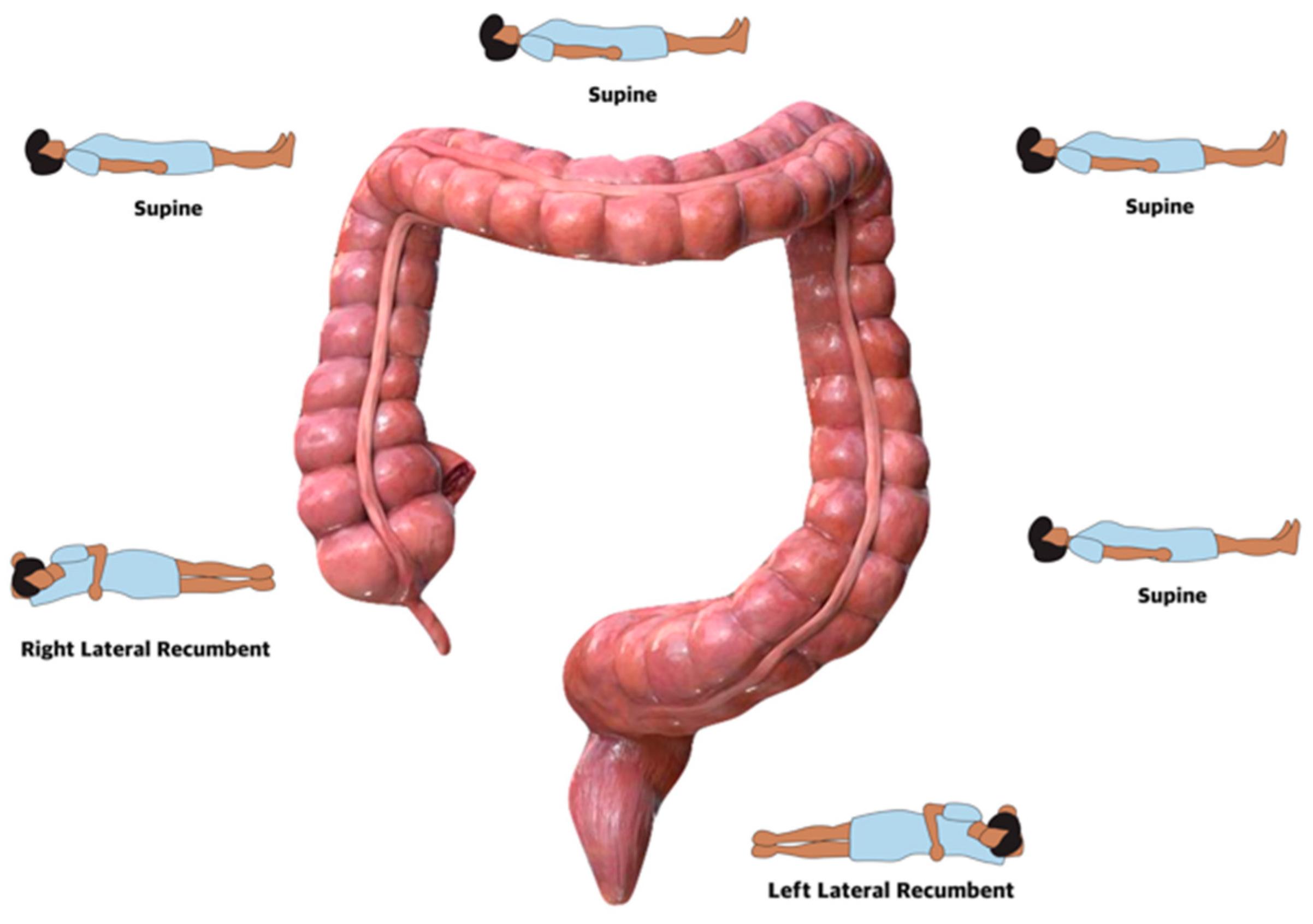 Diagnostics 14 02596 g002