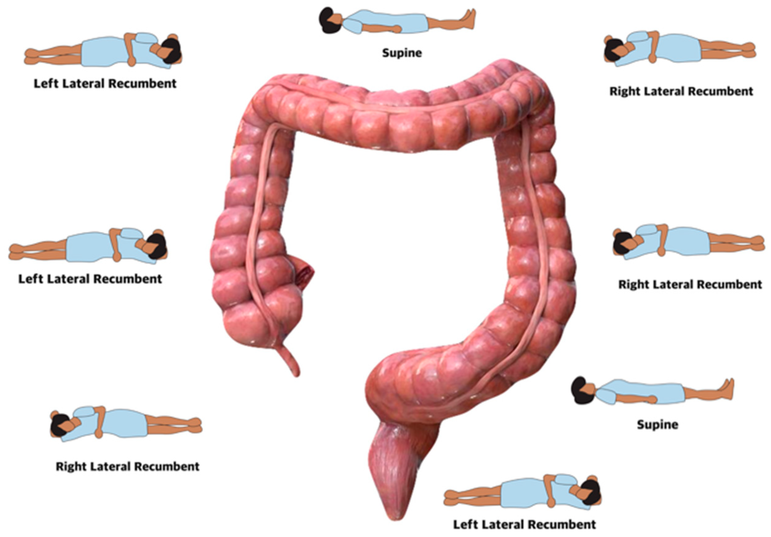 Diagnostics 14 02596 g003