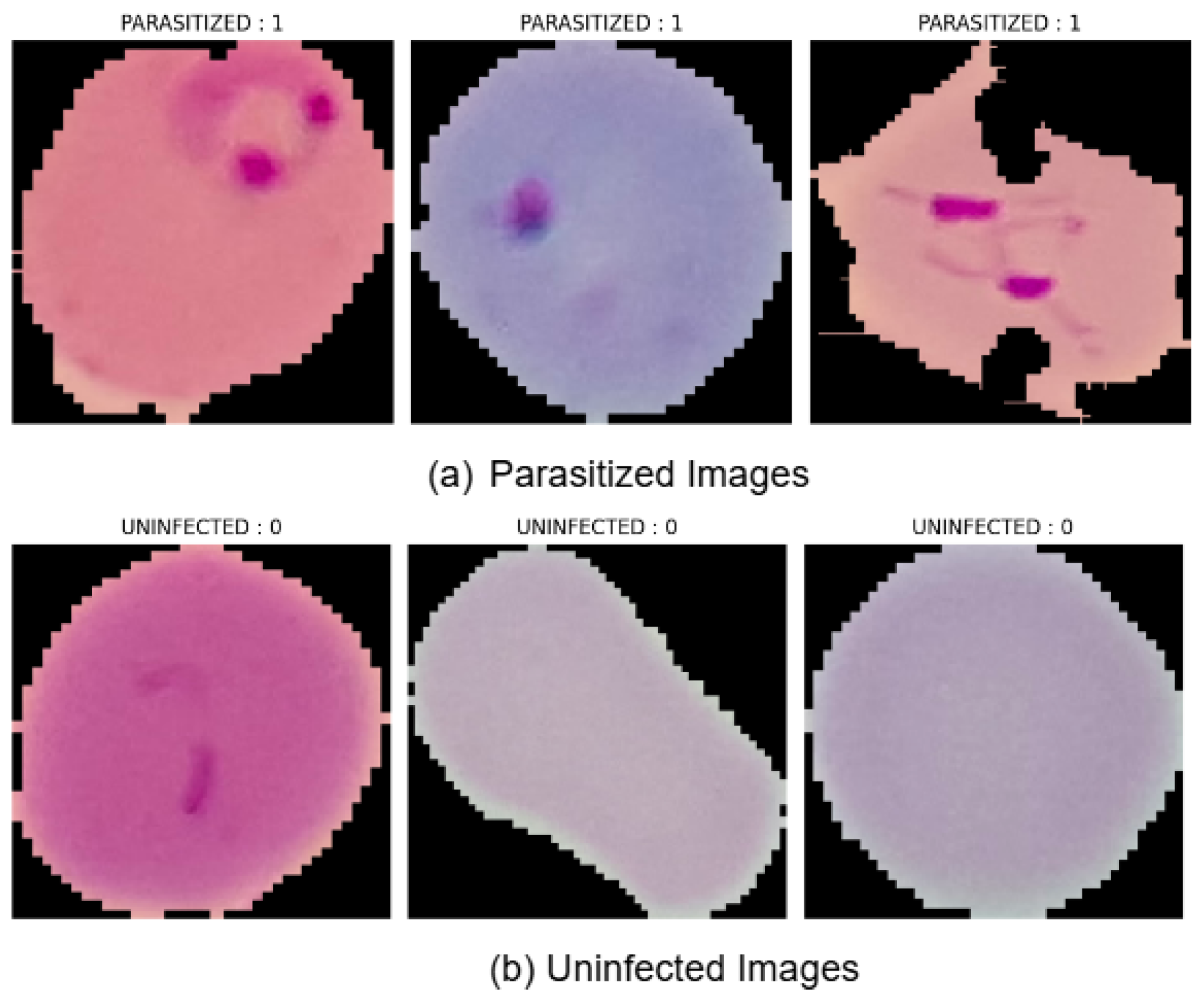 Diagnostics 14 02738 g002