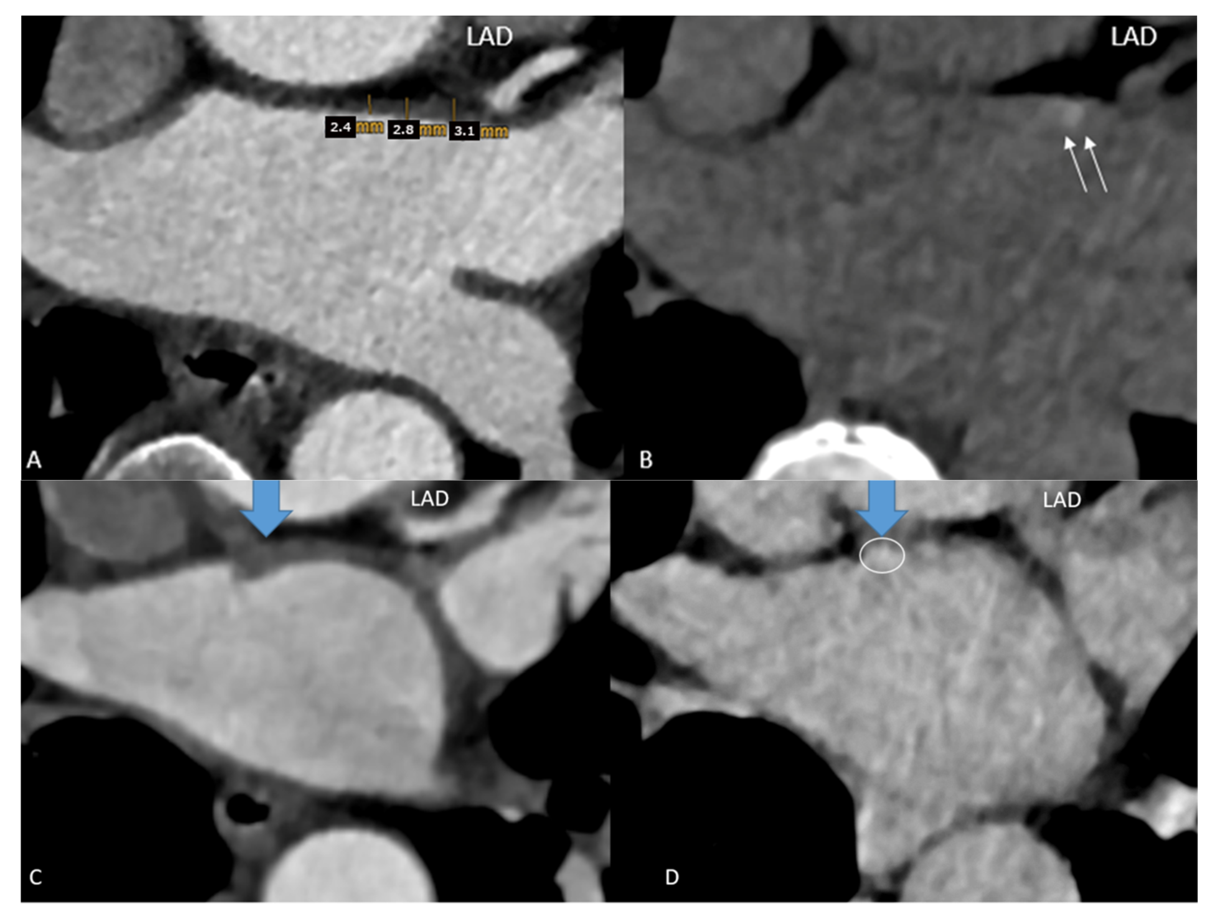 Diagnostics 14 02753 g001