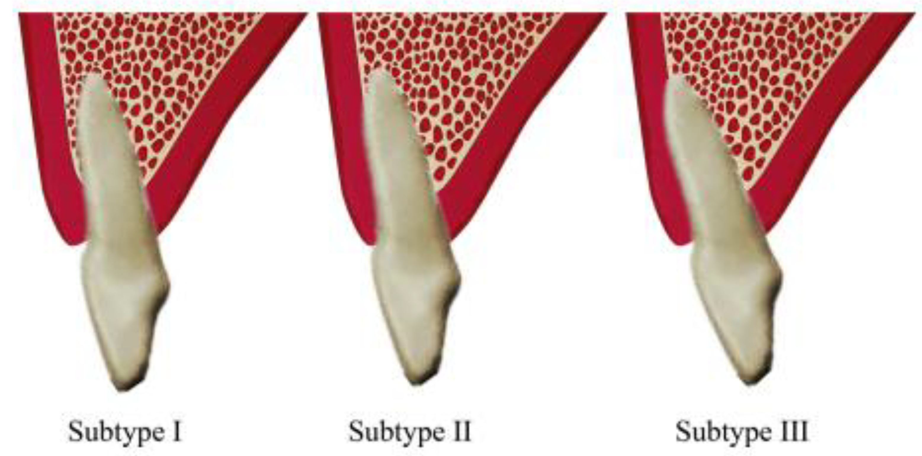 Diagnostics 14 02756 g003
