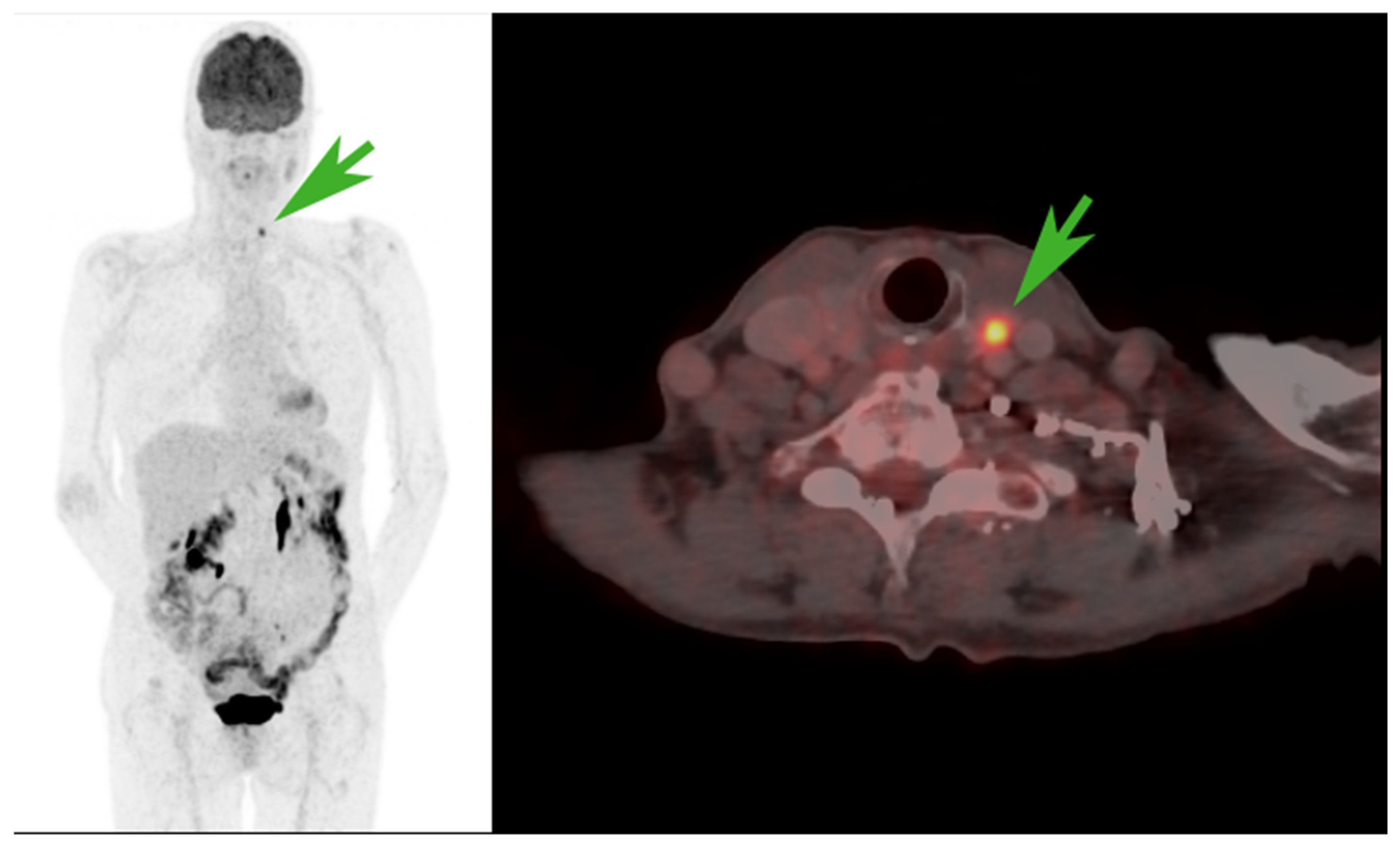 Diagnostics 14 02764 g002 Diagnostics 14 02764 g002