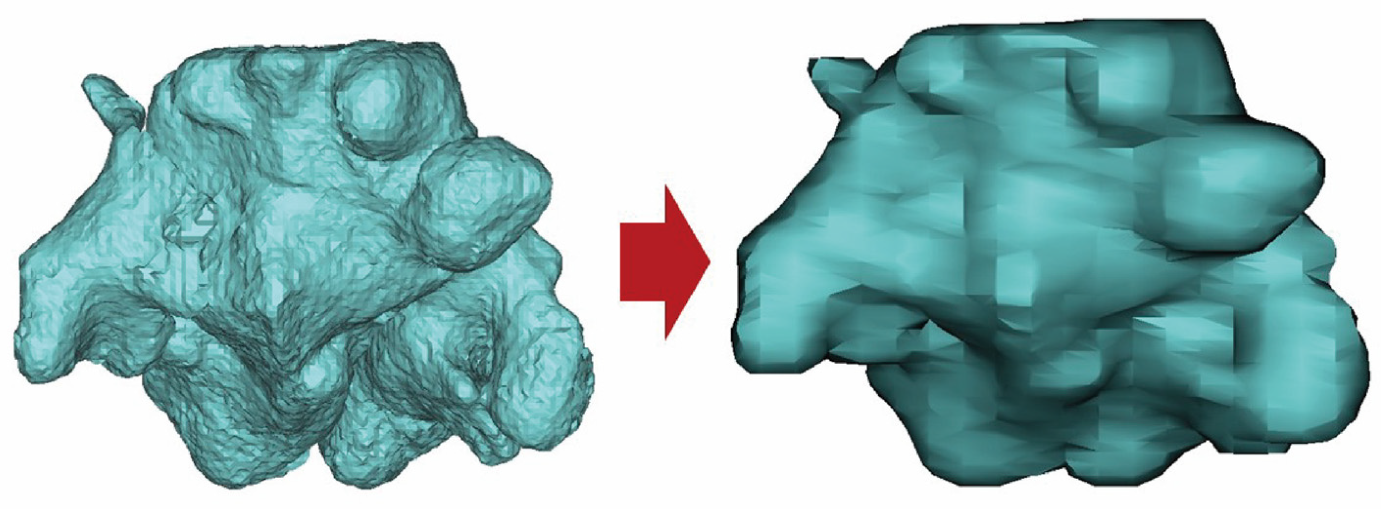 Diagnostics 14 02888 g004 Diagnostics 14 02888 g004