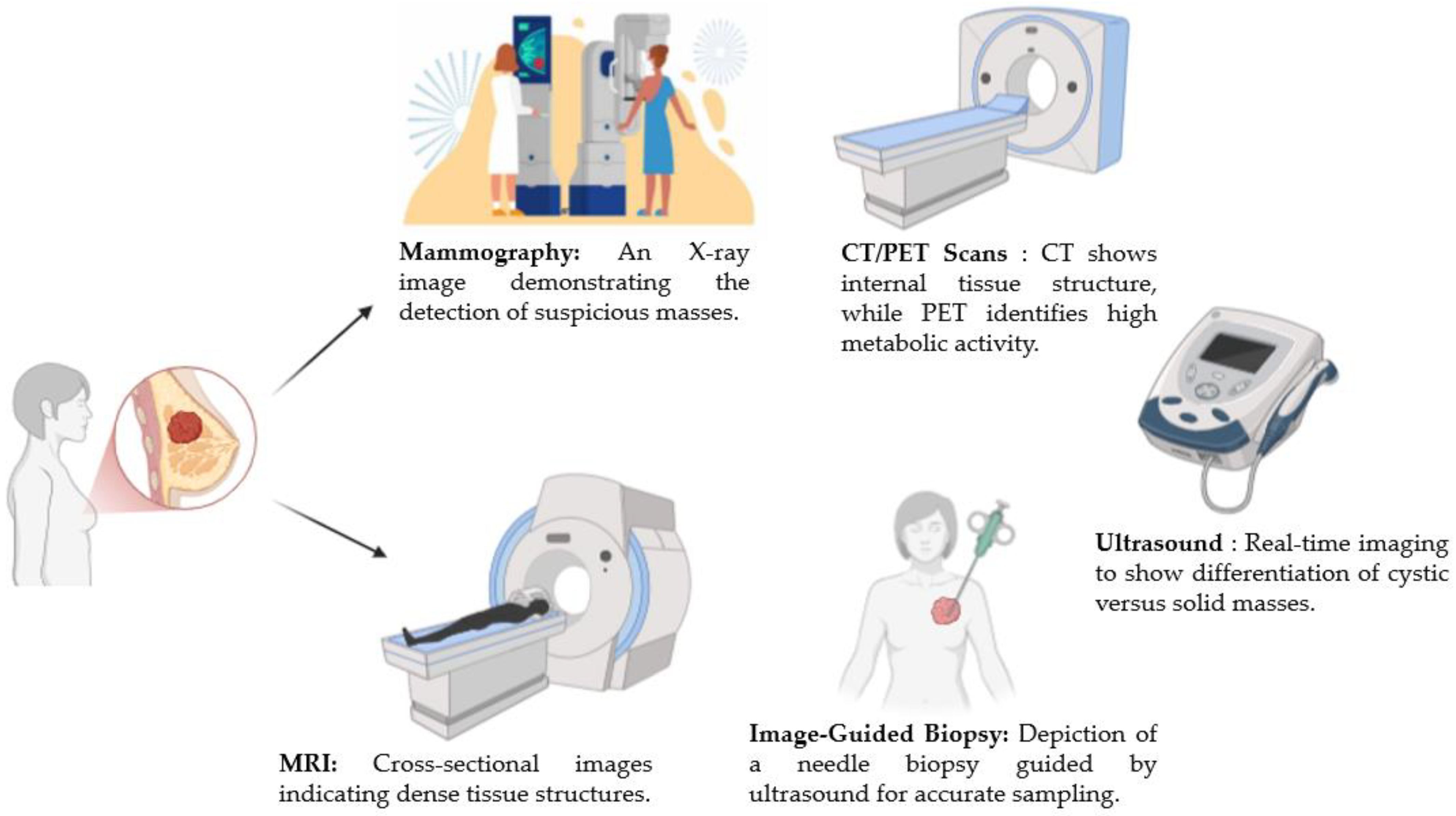 Diagnostics 14 02896 g001