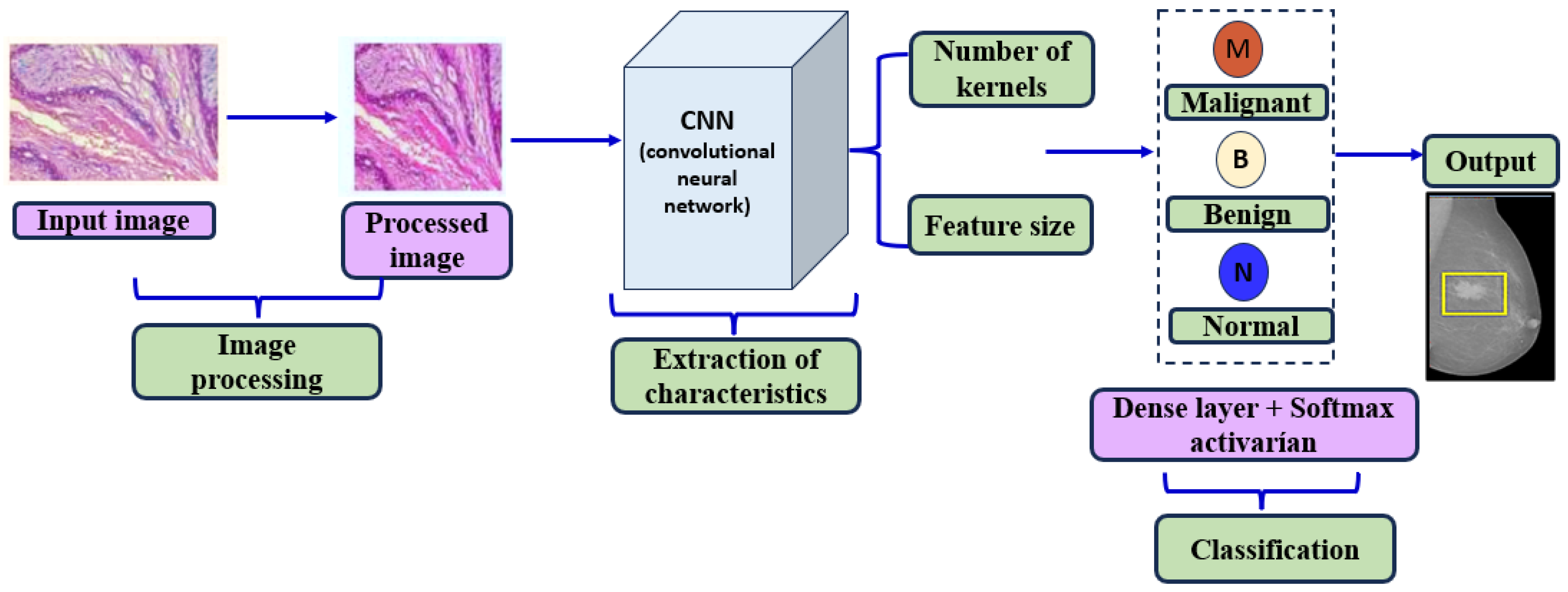 Diagnostics 14 02896 g002