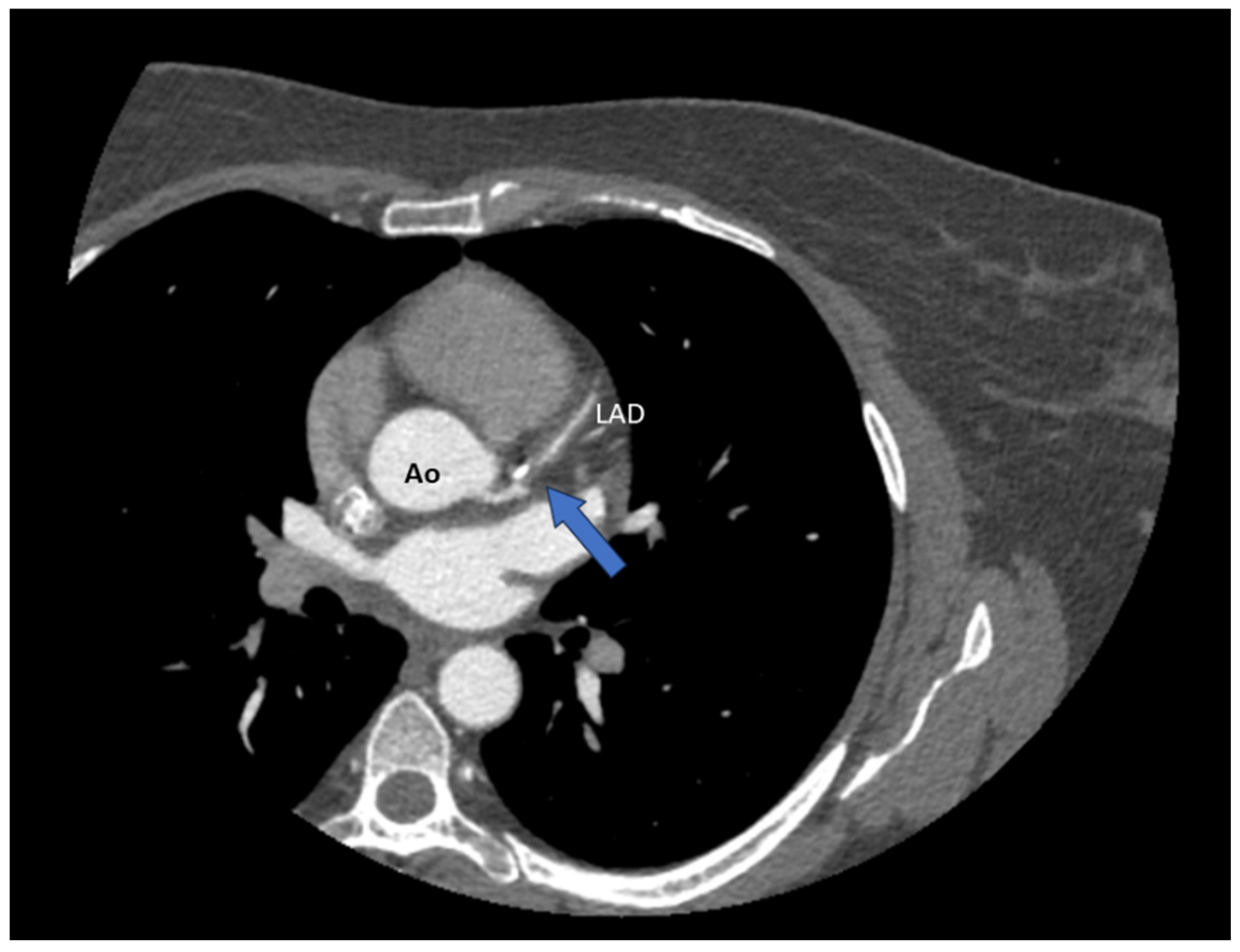 Diagnostics 15 00061 g002