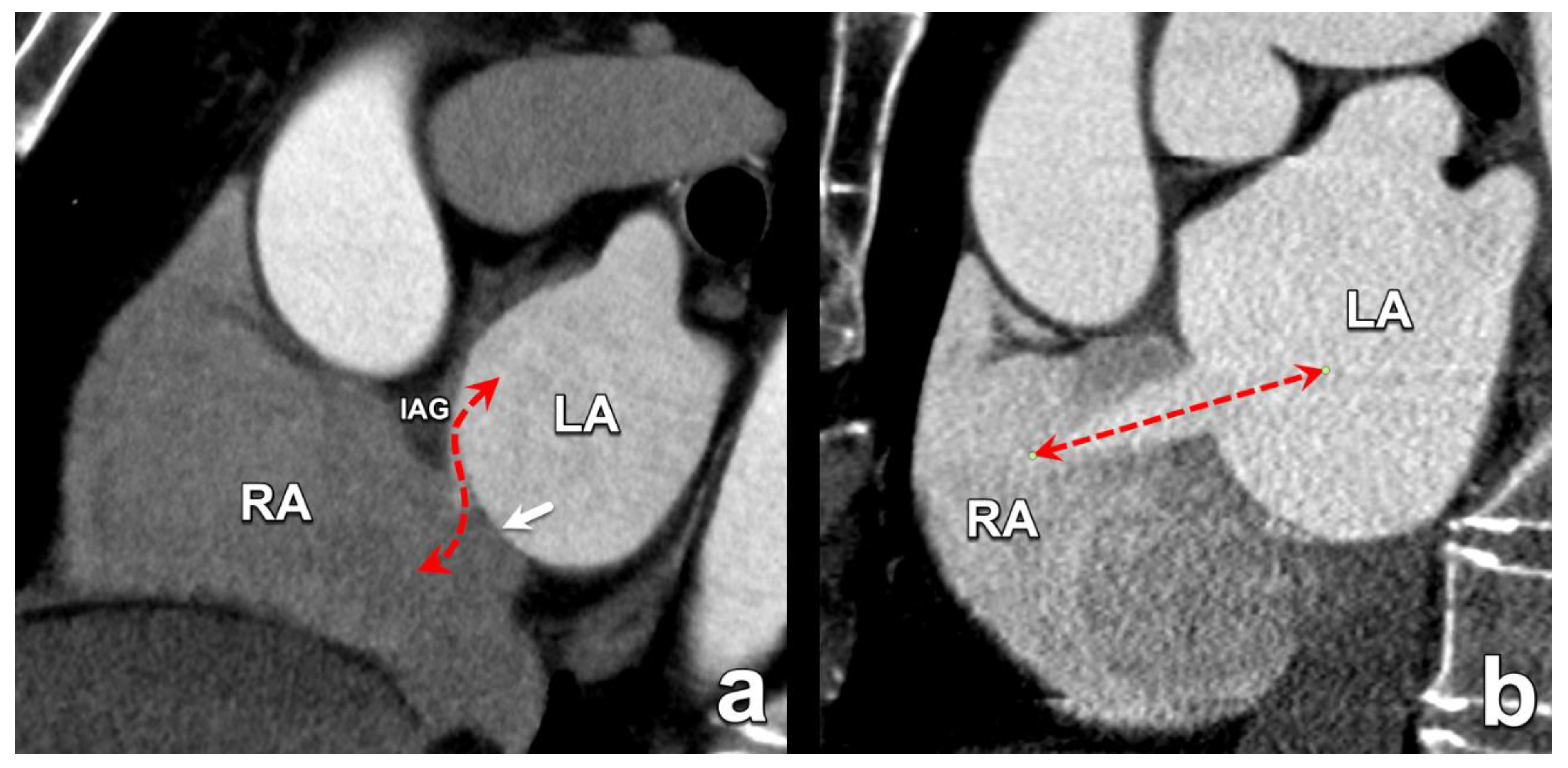 Diagnostics 15 00097 g001 Diagnostics 15 00097 g001