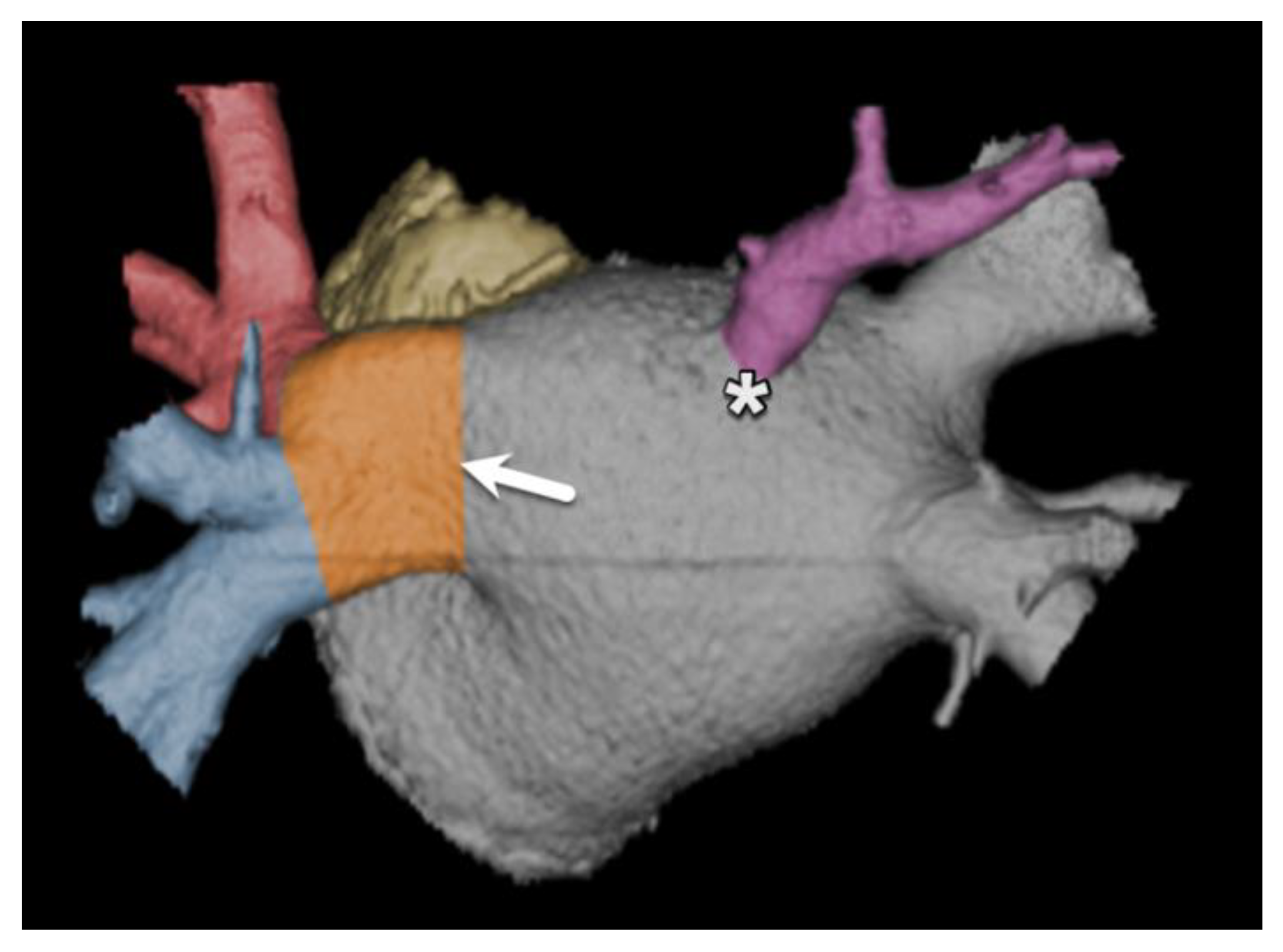 Diagnostics 15 00097 g016 Diagnostics 15 00097 g016