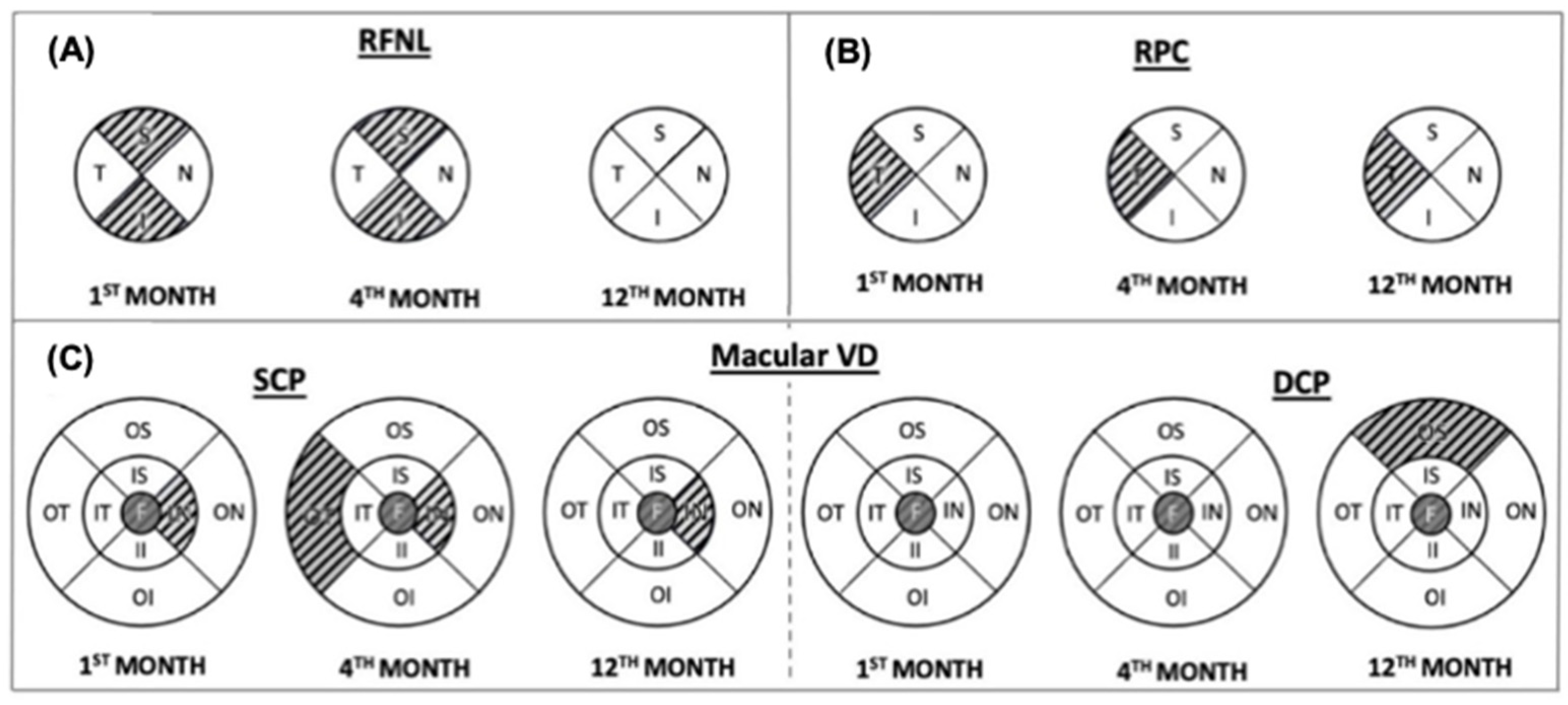 Diagnostics 15 00114 g001