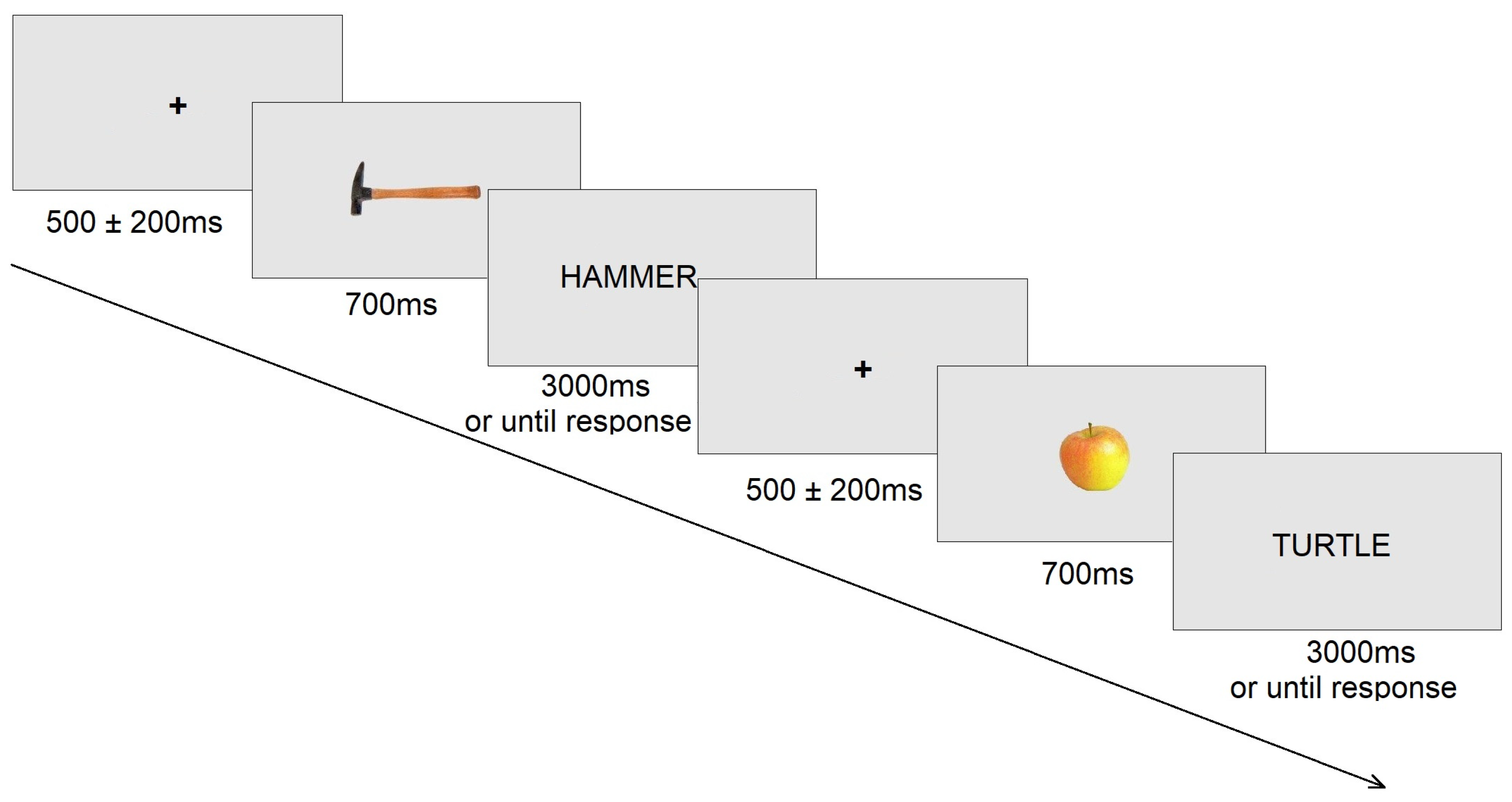 Diagnostics 15 00156 g001