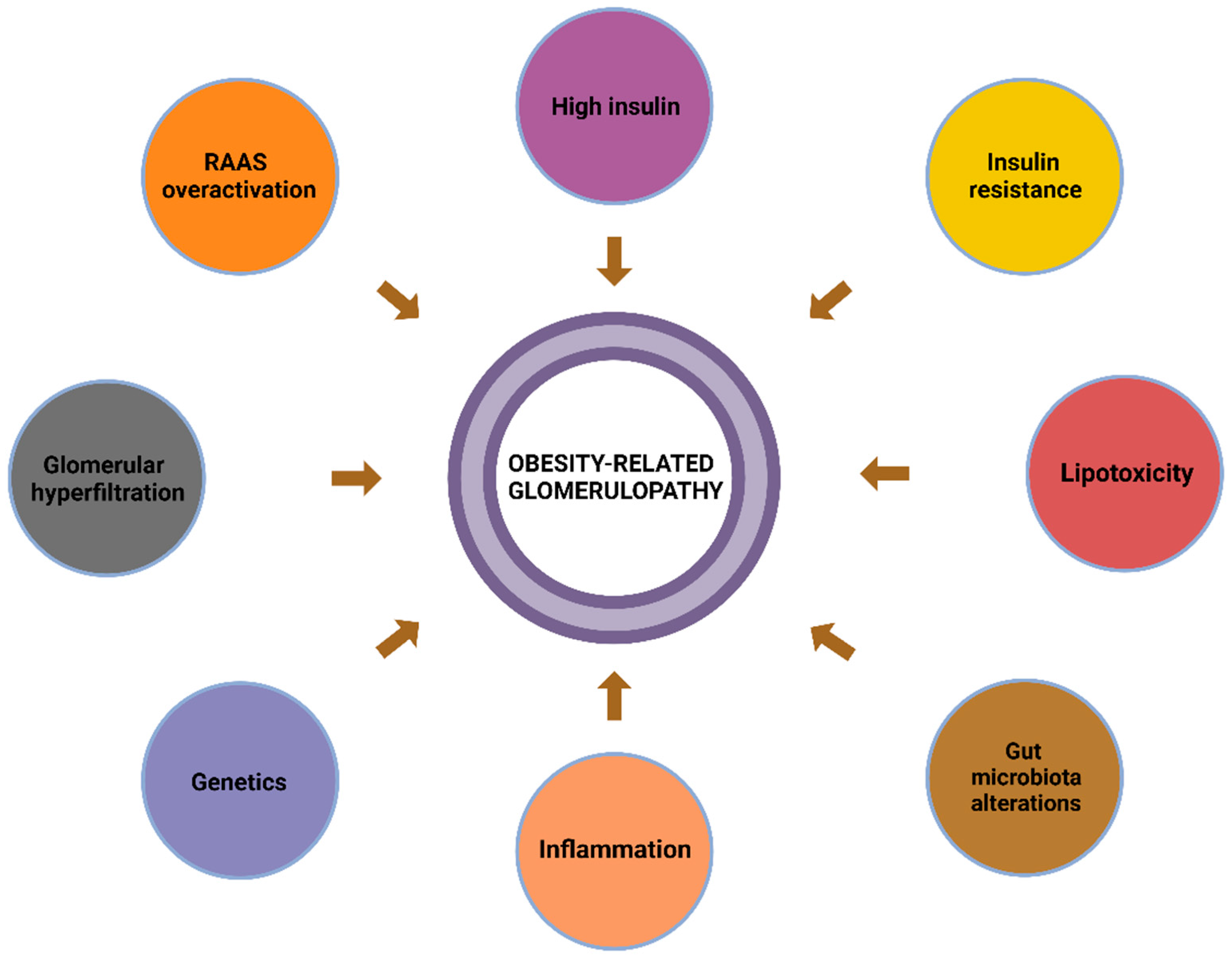 Diagnostics 15 00169 g001 Diagnostics 15 00169 g001