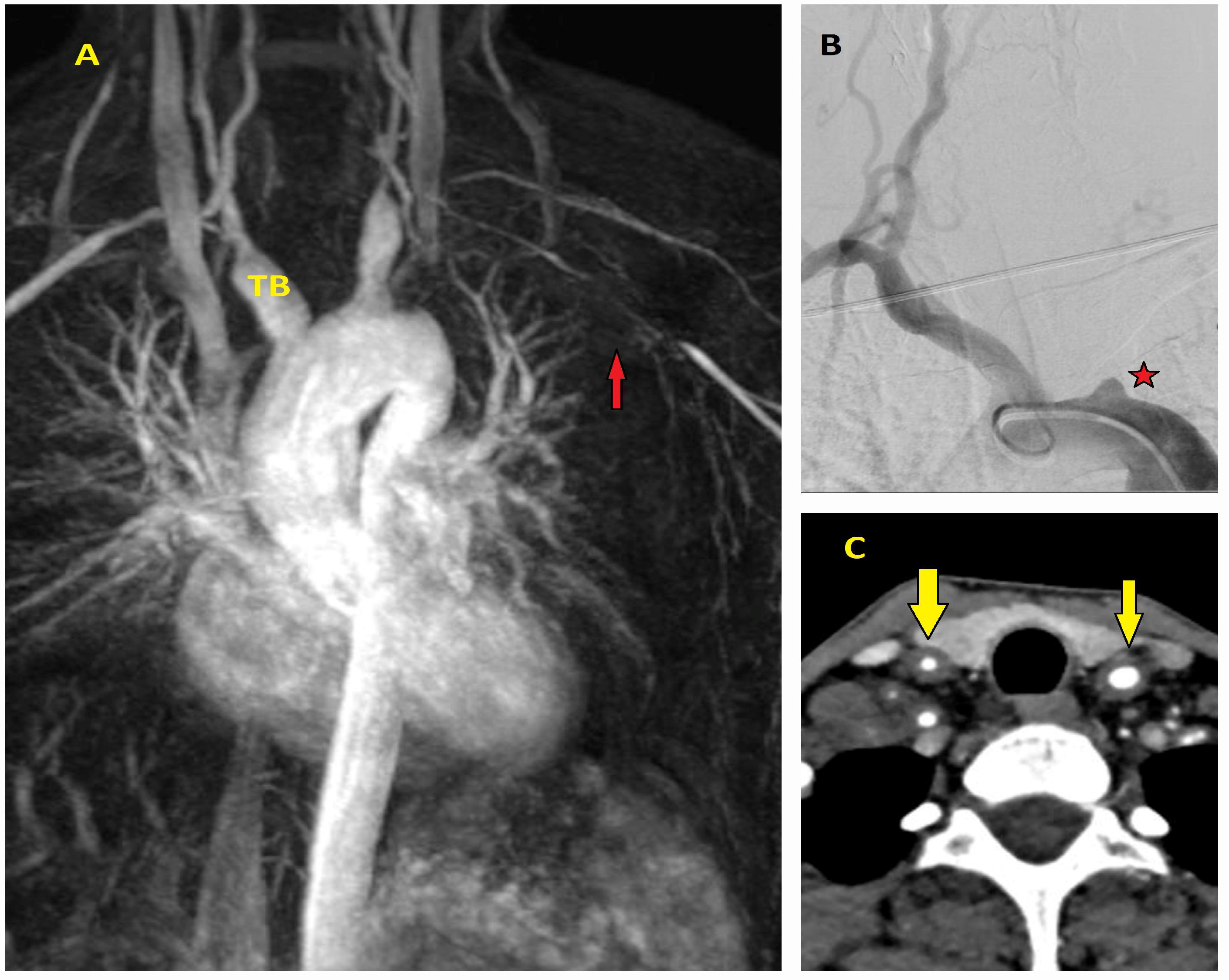 Diagnostics 15 00183 g010