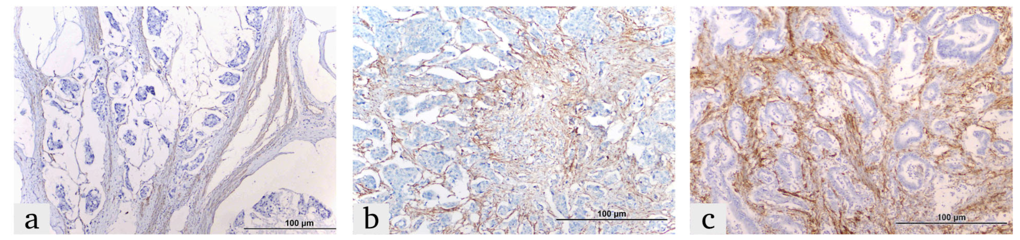 Diagnostics 15 00184 g002