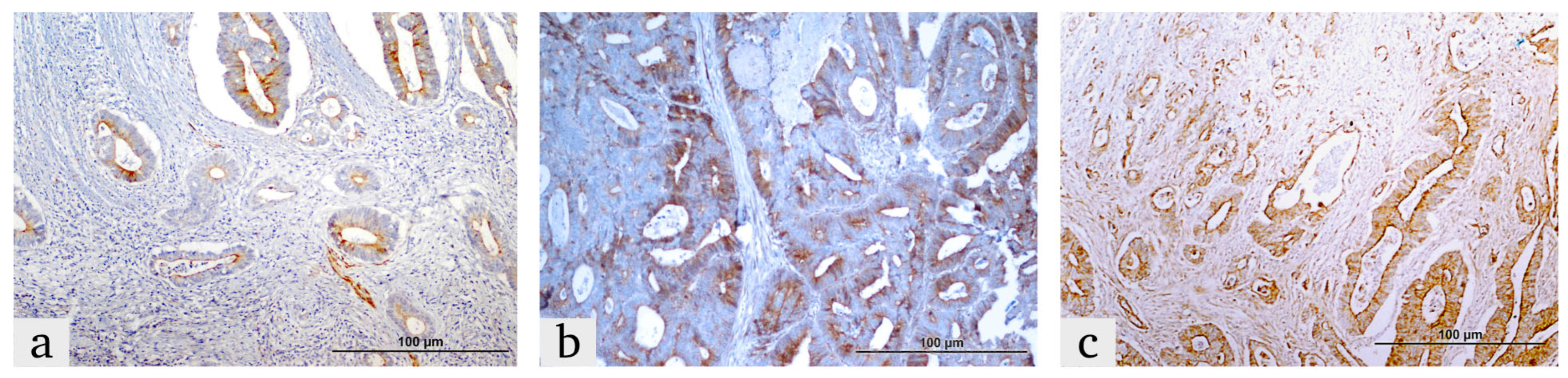 Diagnostics 15 00184 g003