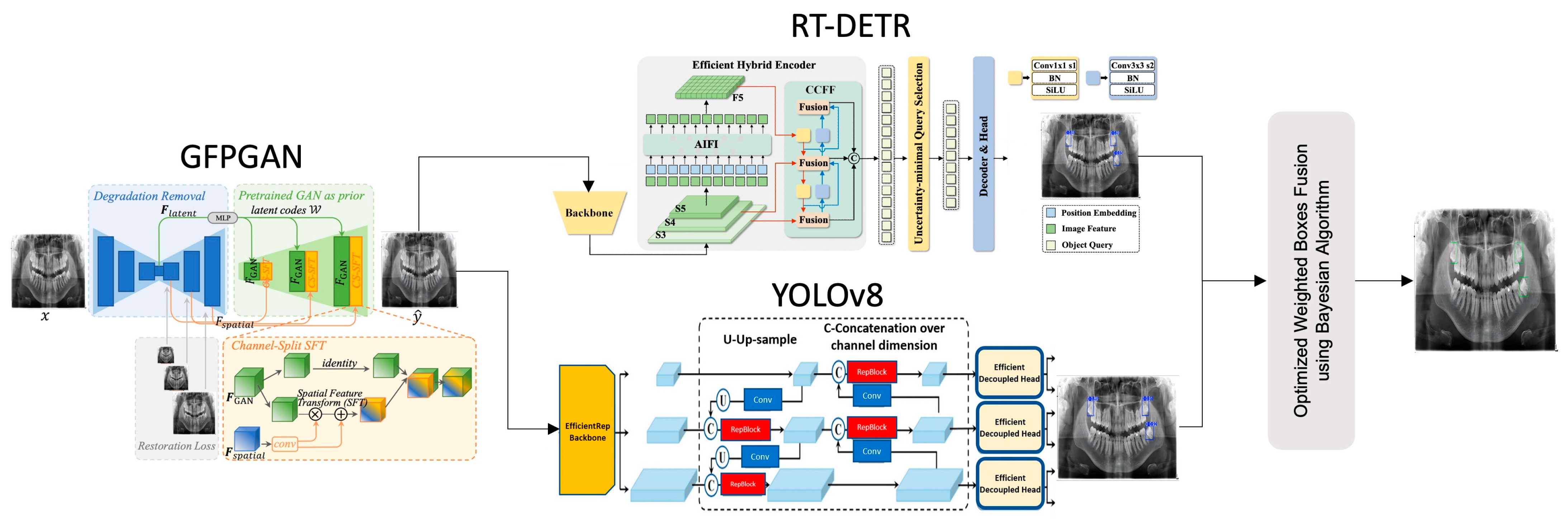 Diagnostics 15 00244 g001