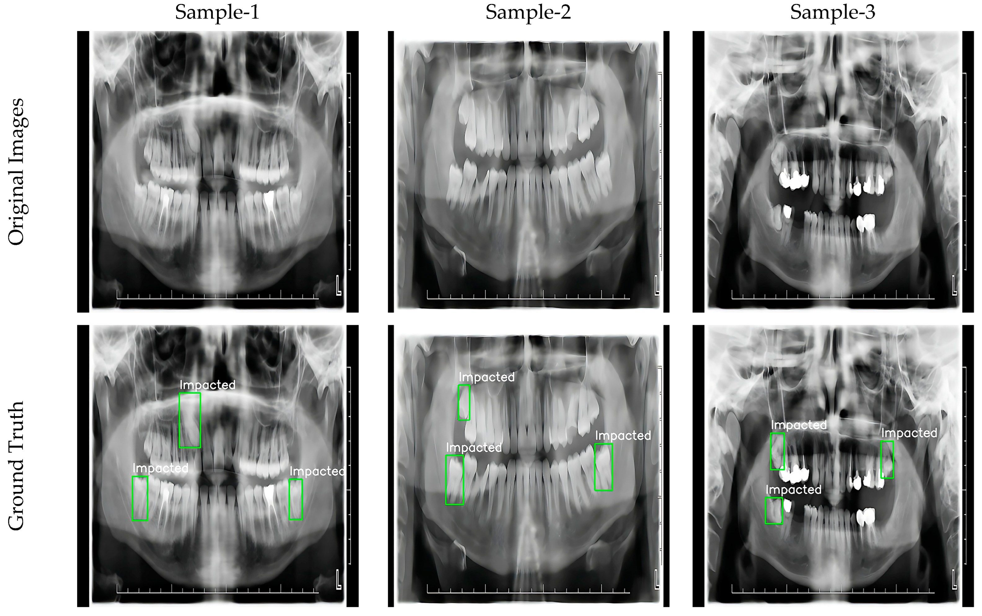 Diagnostics 15 00244 g002