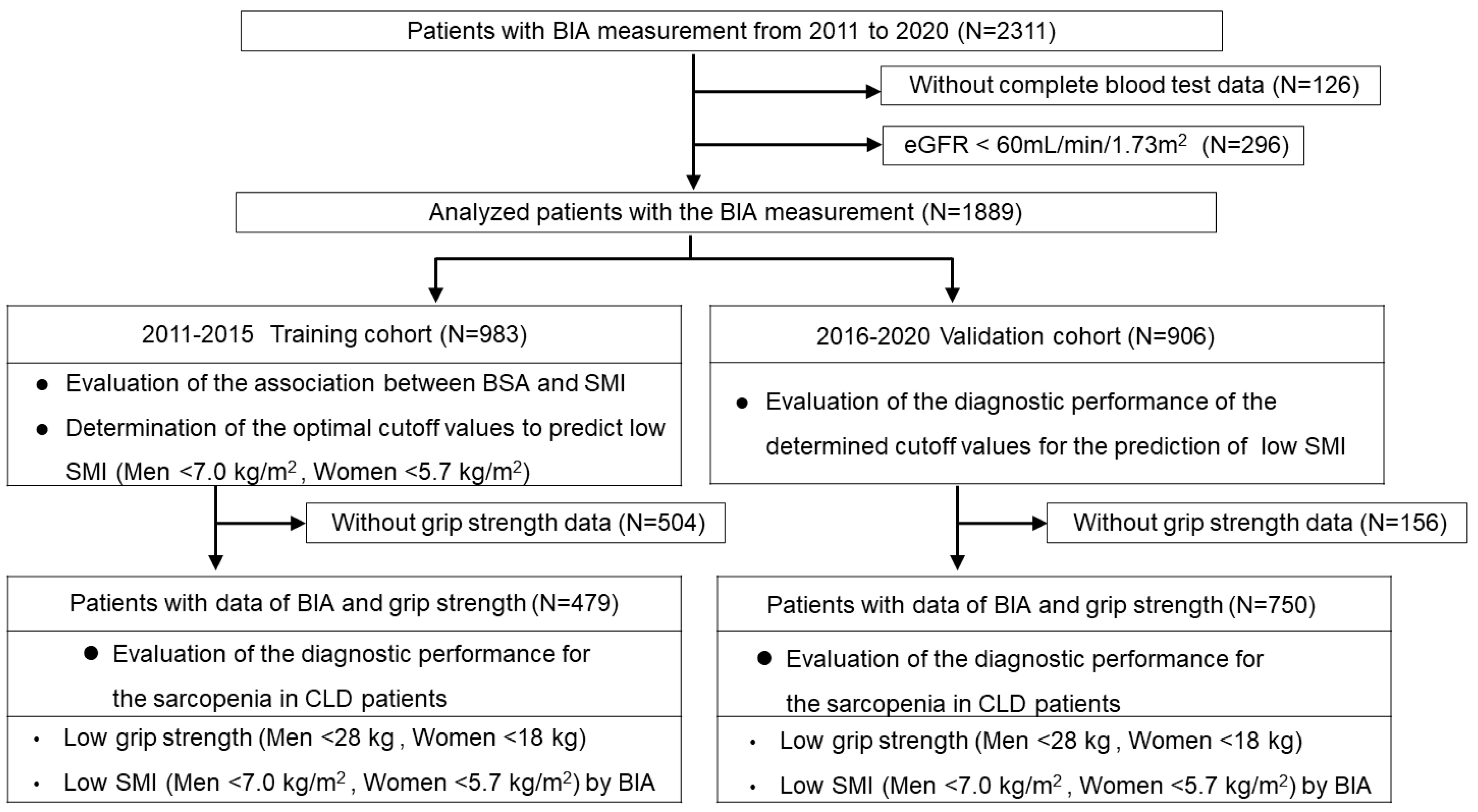 Diagnostics 15 00263 g001
