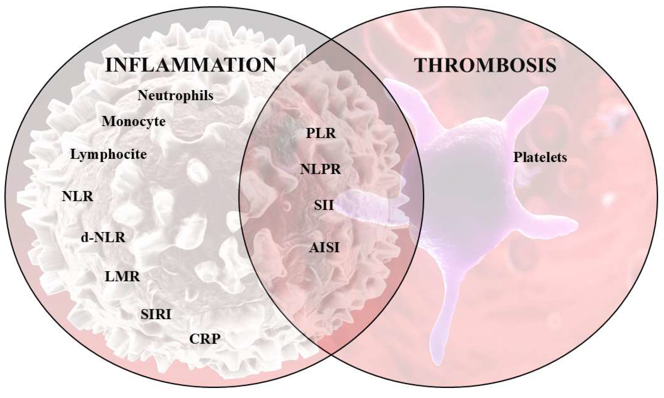 Diagnostics 15 00312 g001