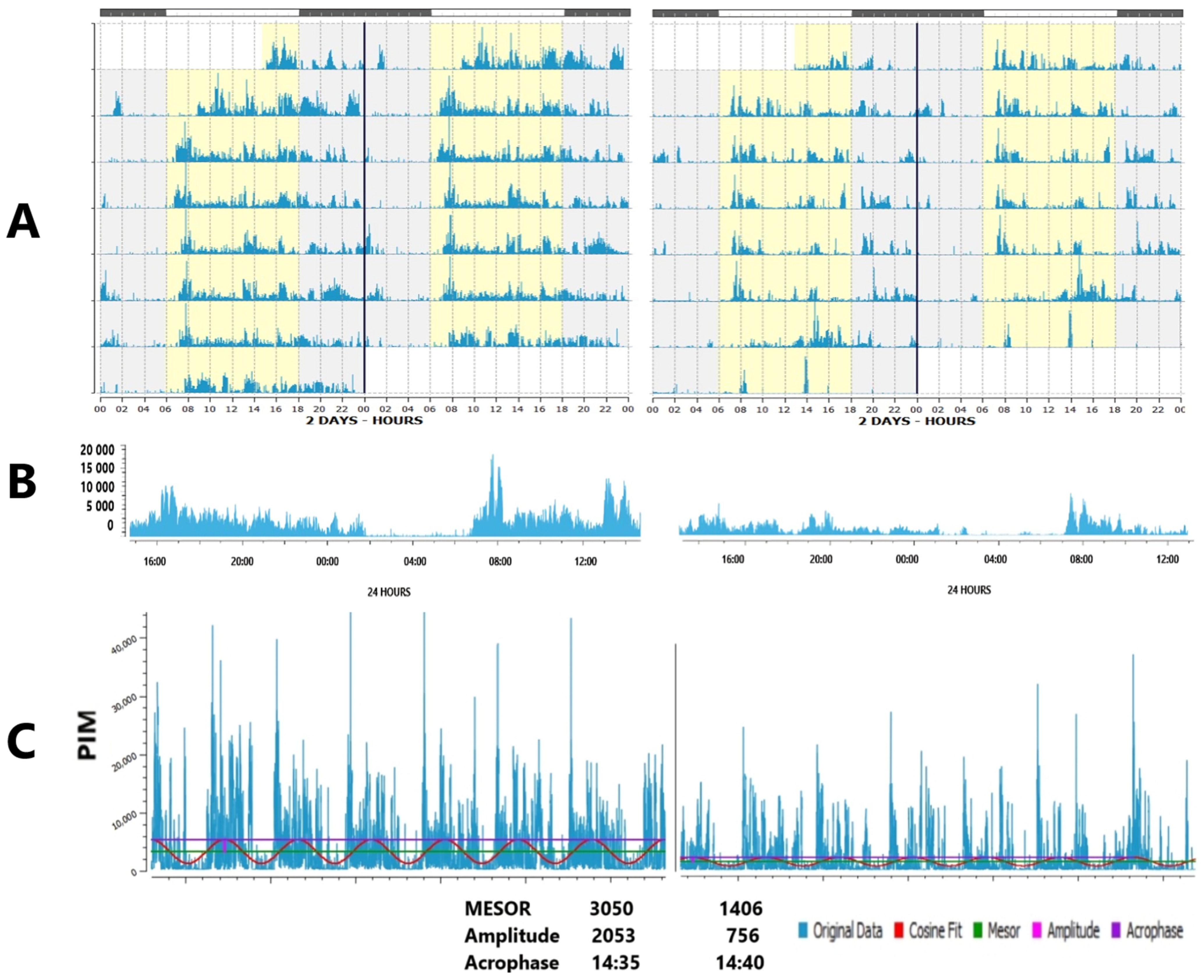 Diagnostics 15 00327 g002 Diagnostics 15 00327 g002