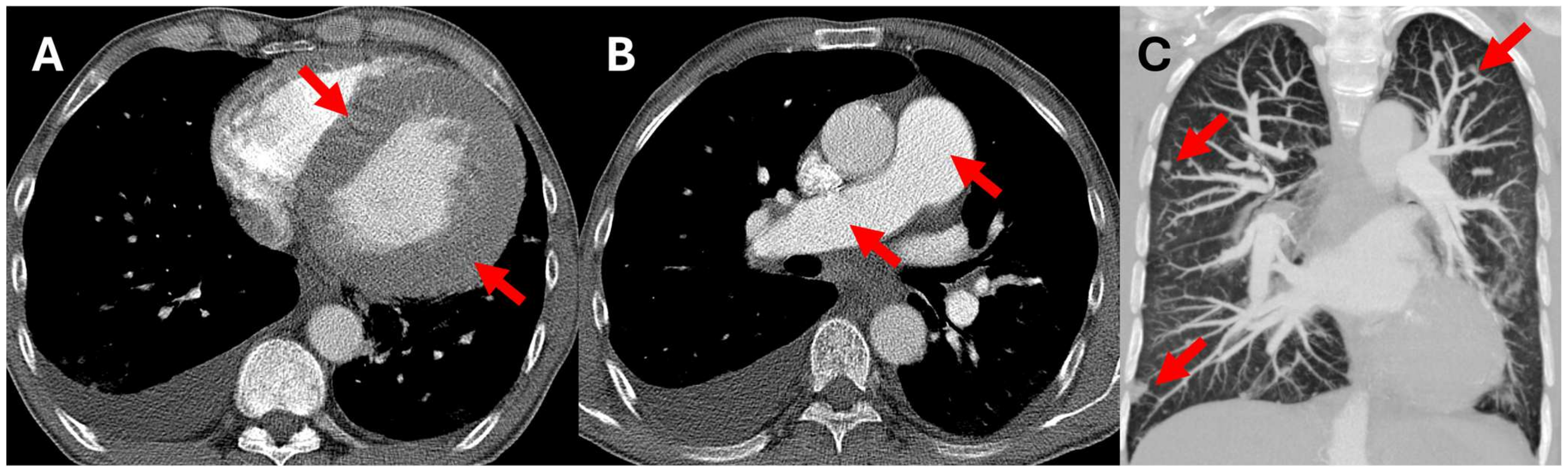 Diagnostics 15 00340 g001