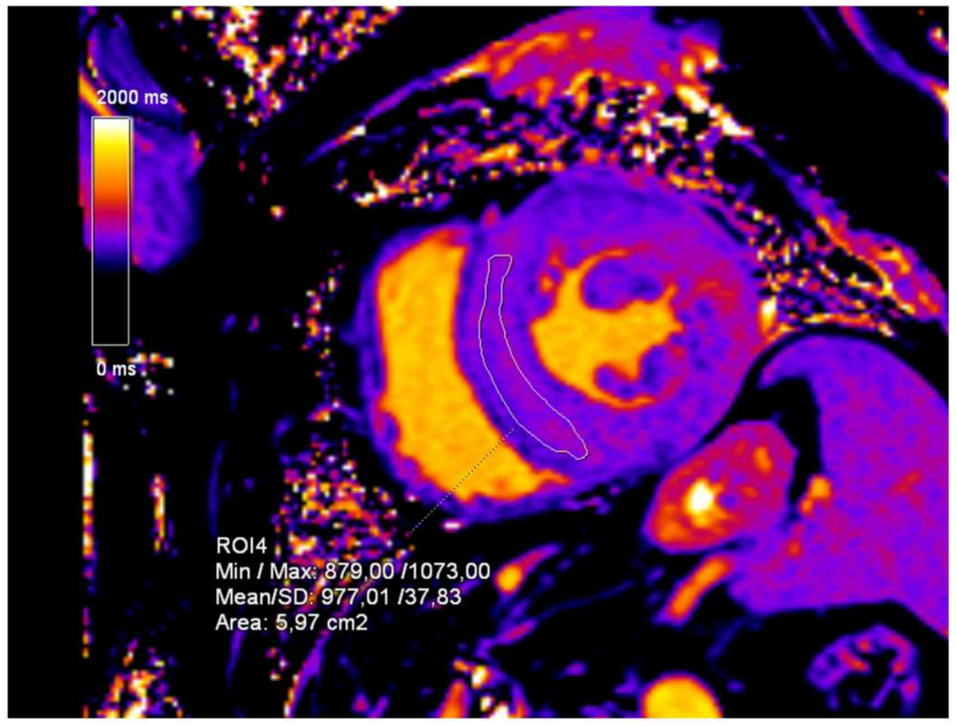 Diagnostics 15 00340 g003