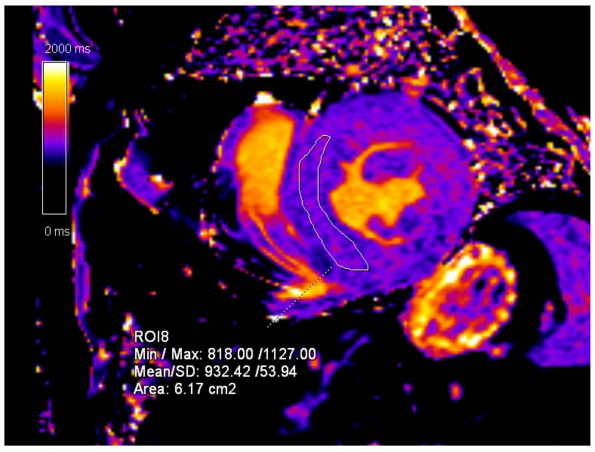 Diagnostics 15 00340 g005
