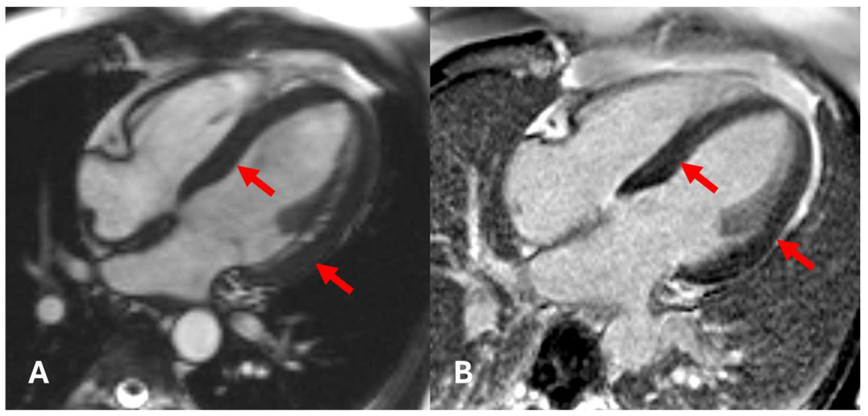Diagnostics 15 00340 g008