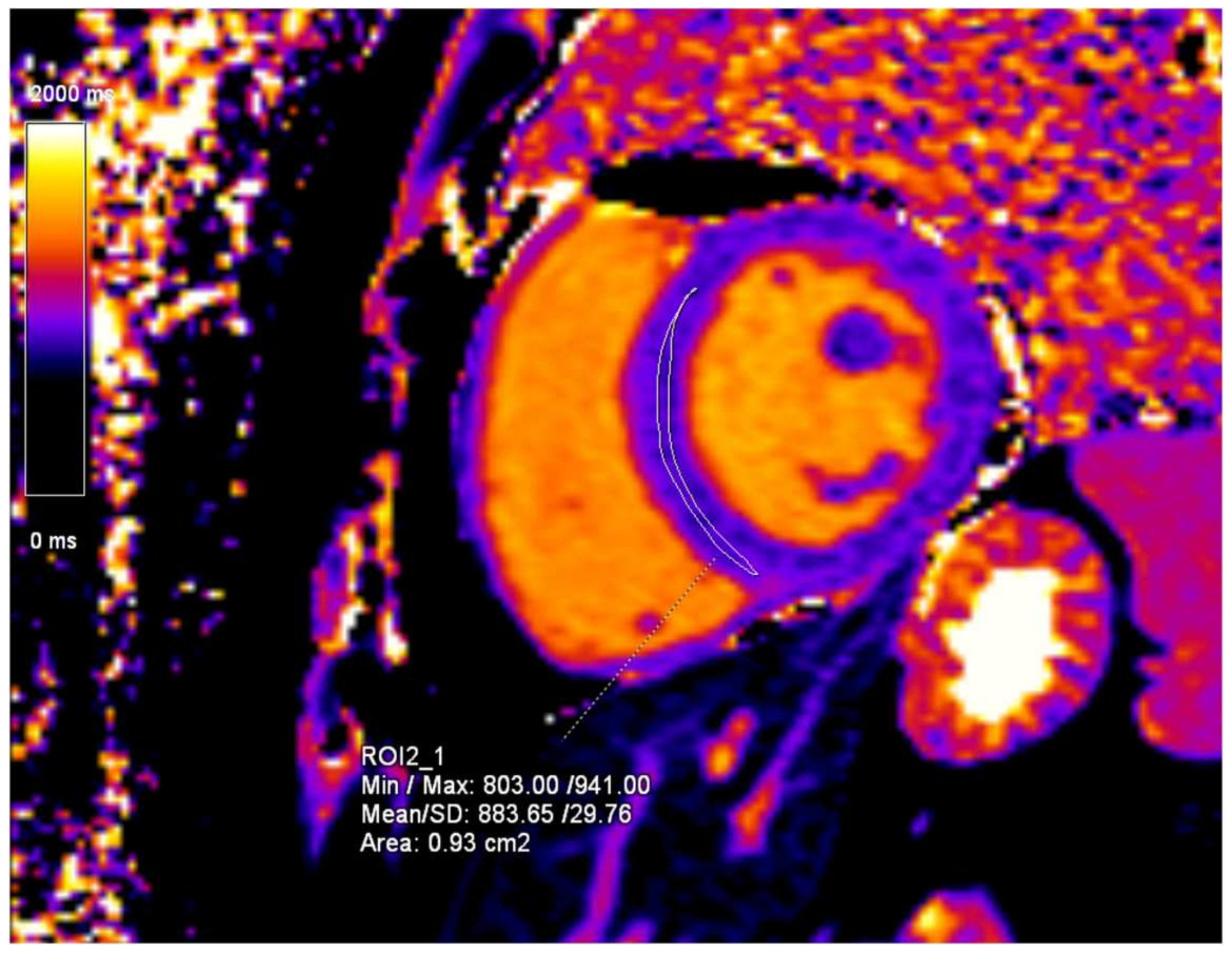 Diagnostics 15 00340 g009