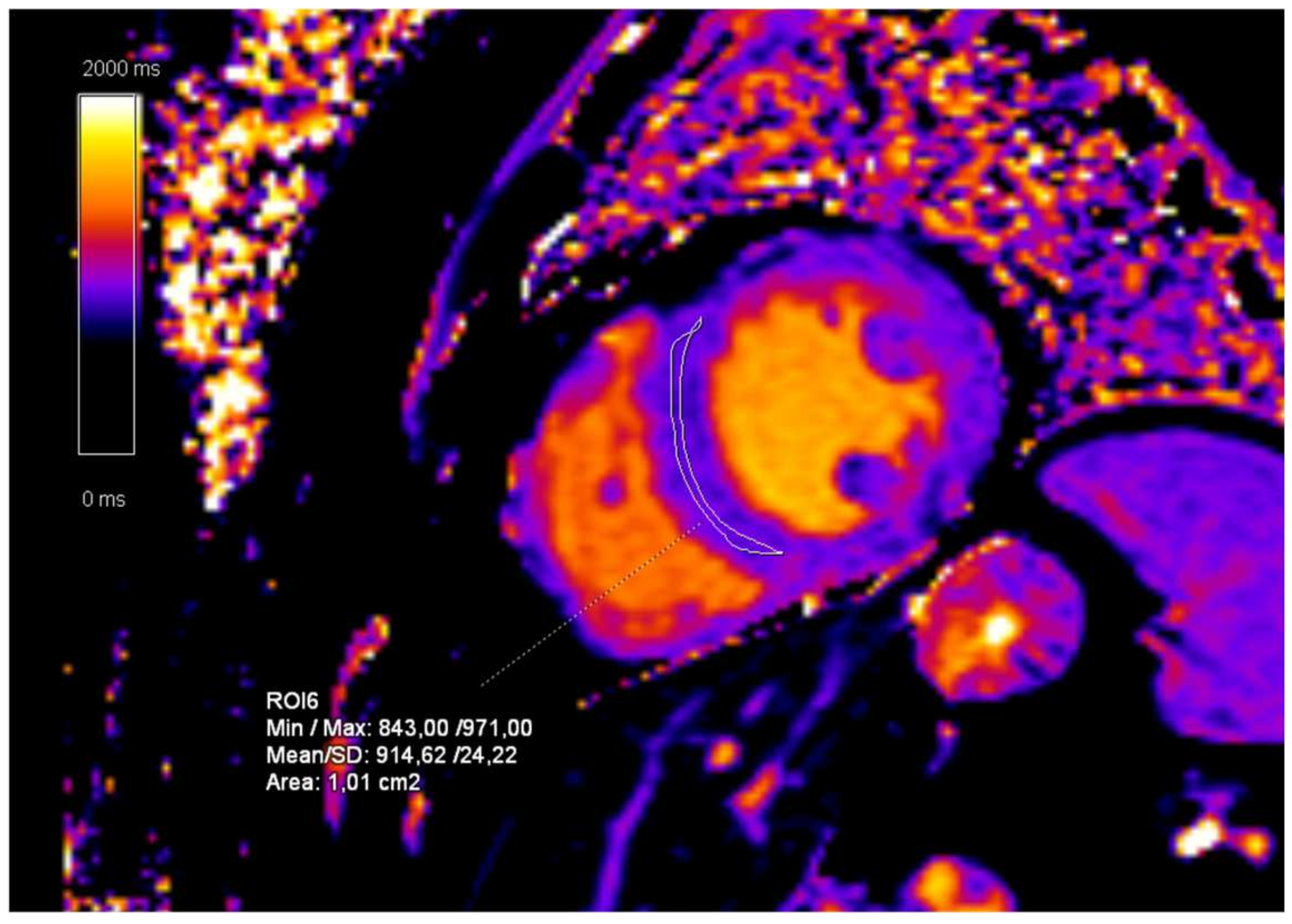 Diagnostics 15 00340 g011