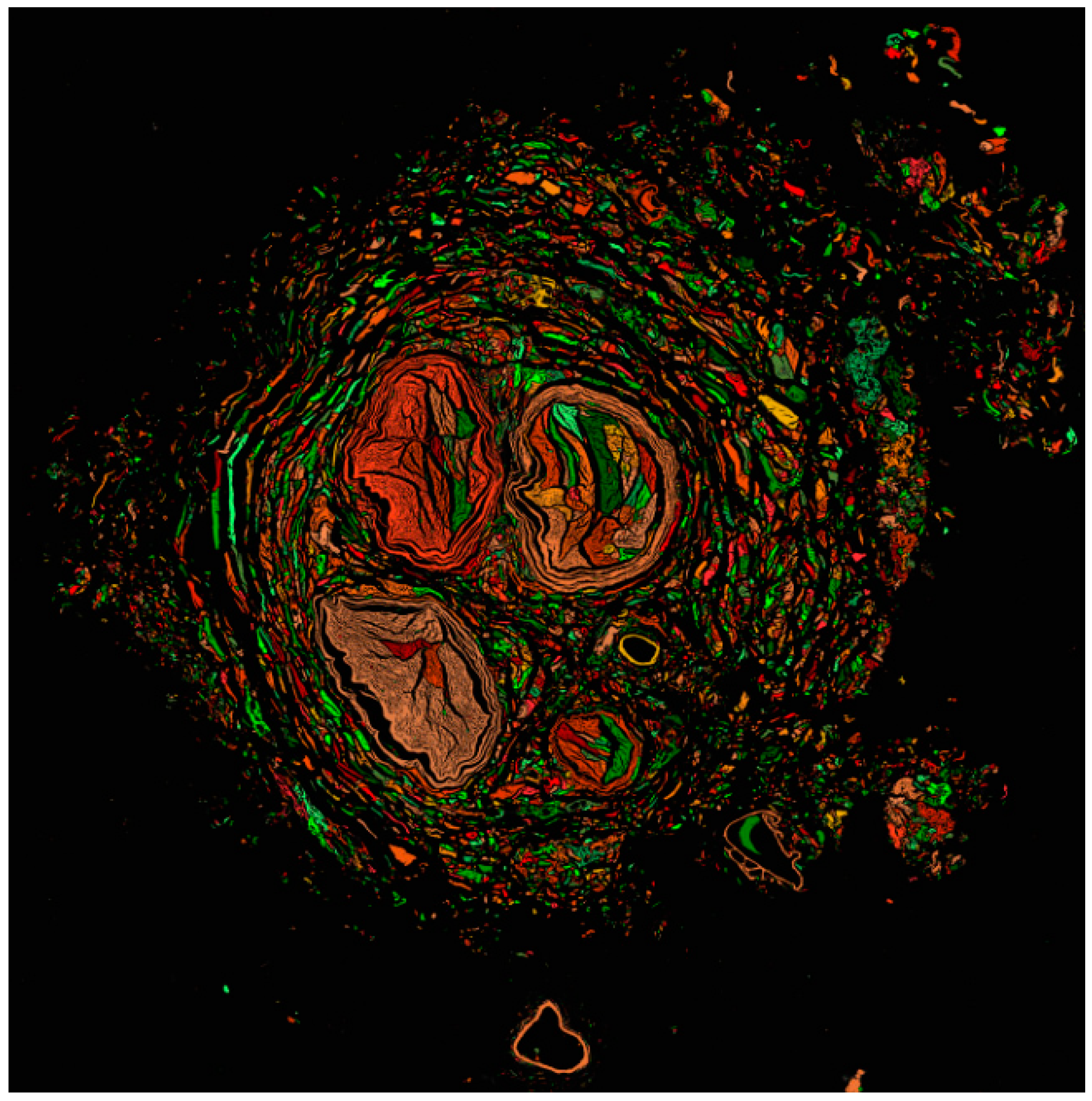 Diagnostics 15 00346 g005
