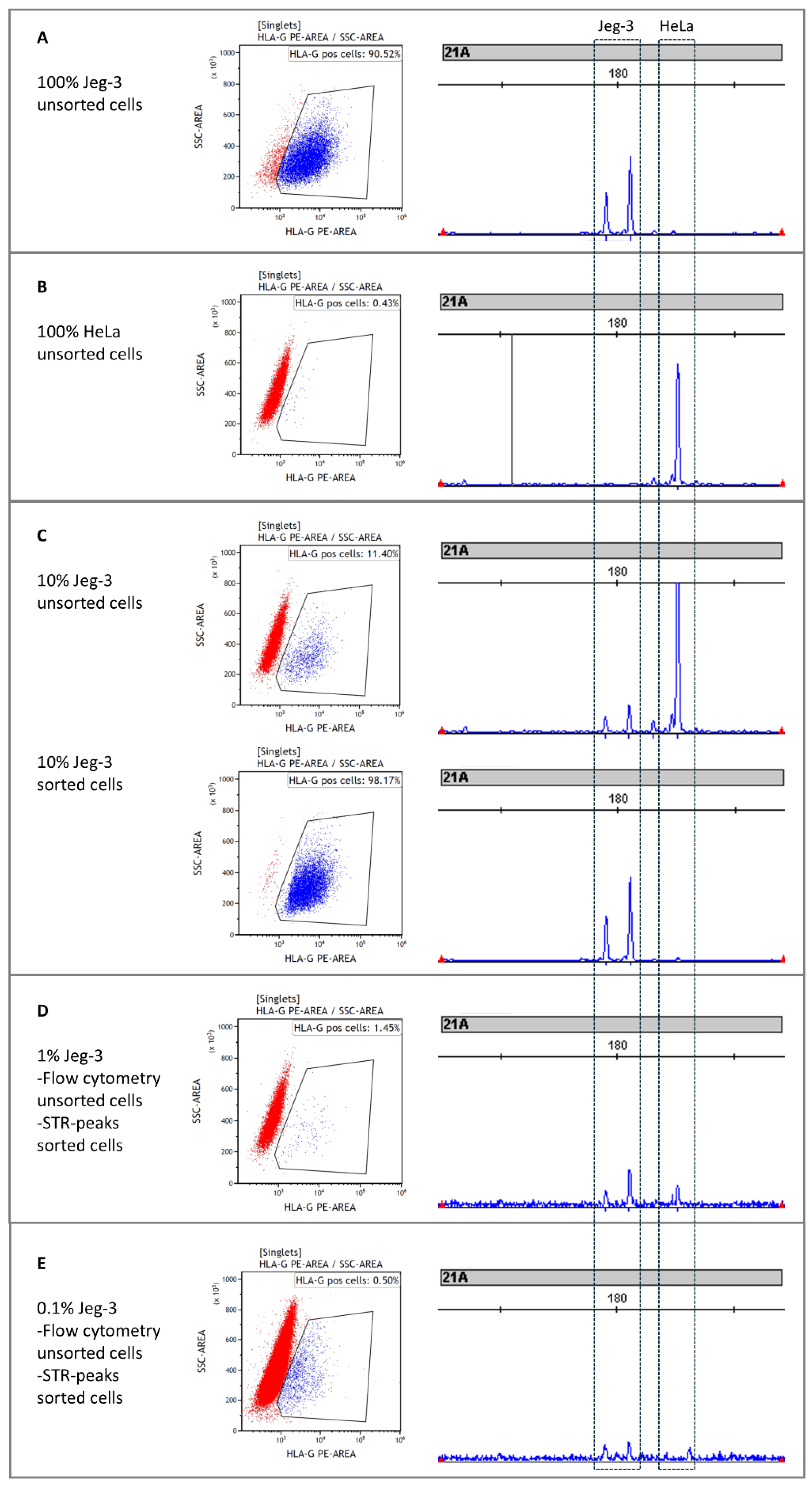 Diagnostics 15 00386 g001